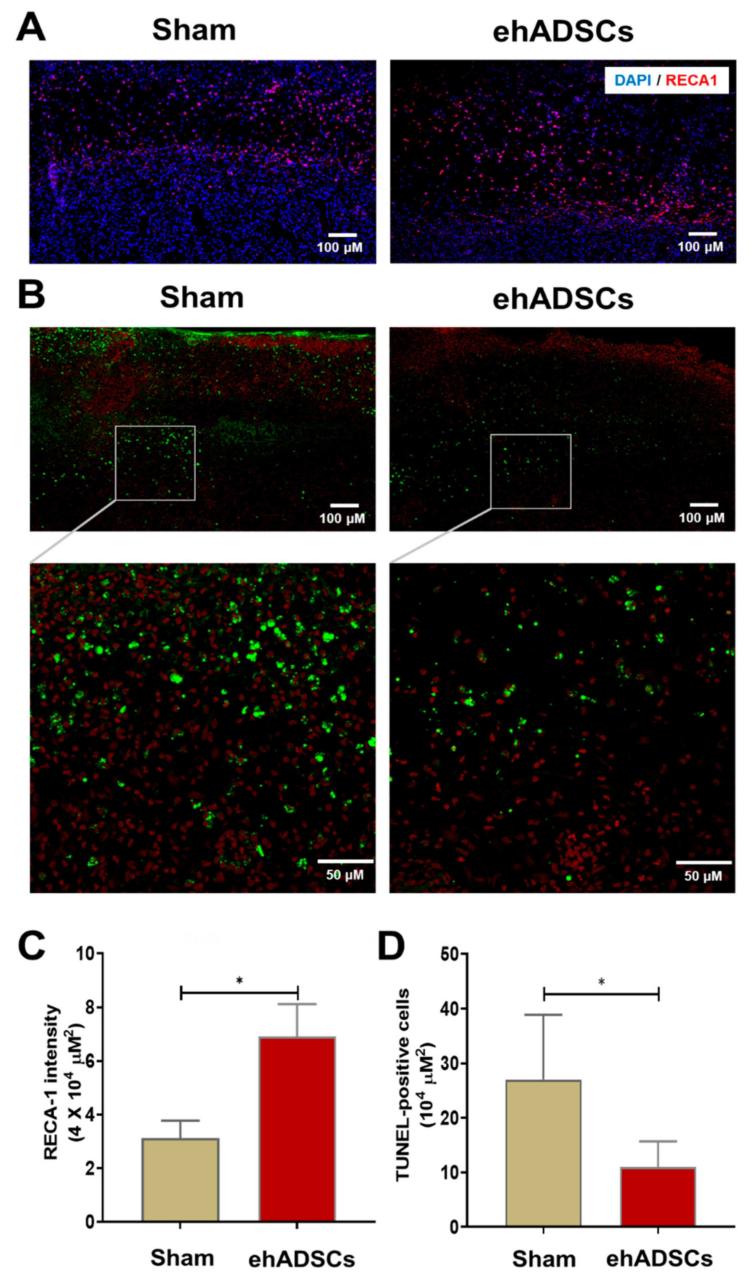 Cells 12 01146 g006 Cells 12 01146 g006
