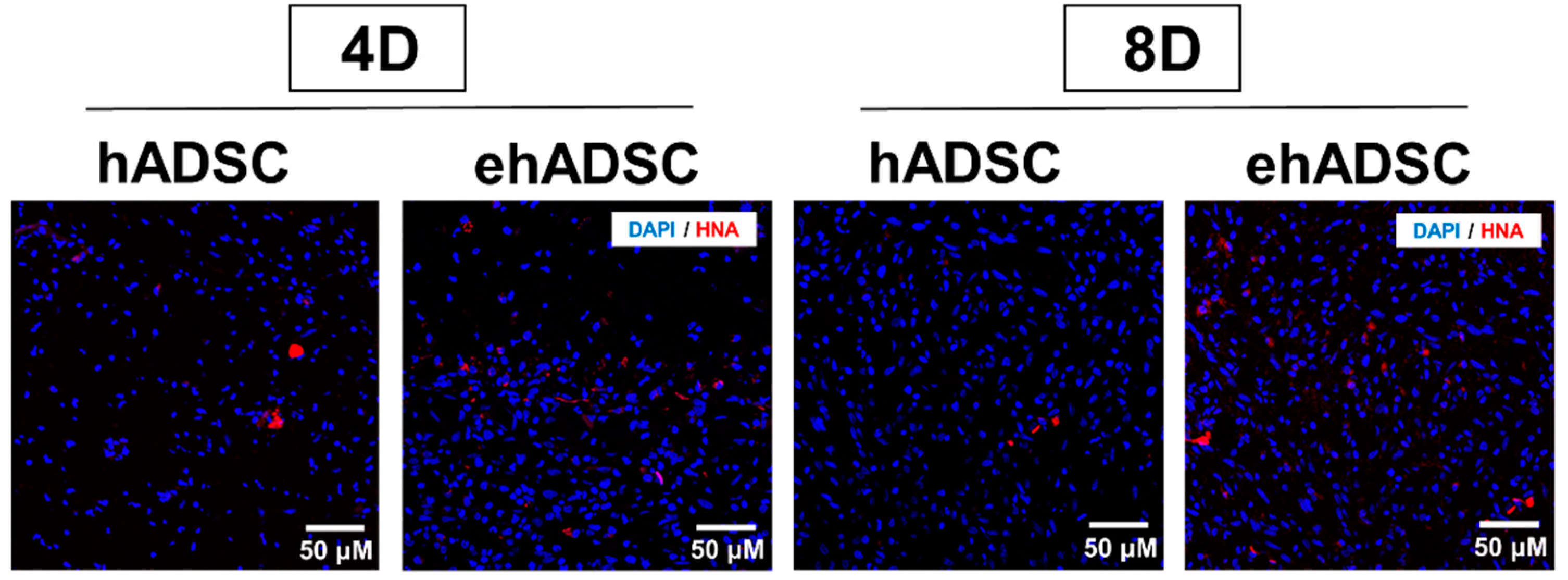 Cells 12 01146 g007 Cells 12 01146 g007