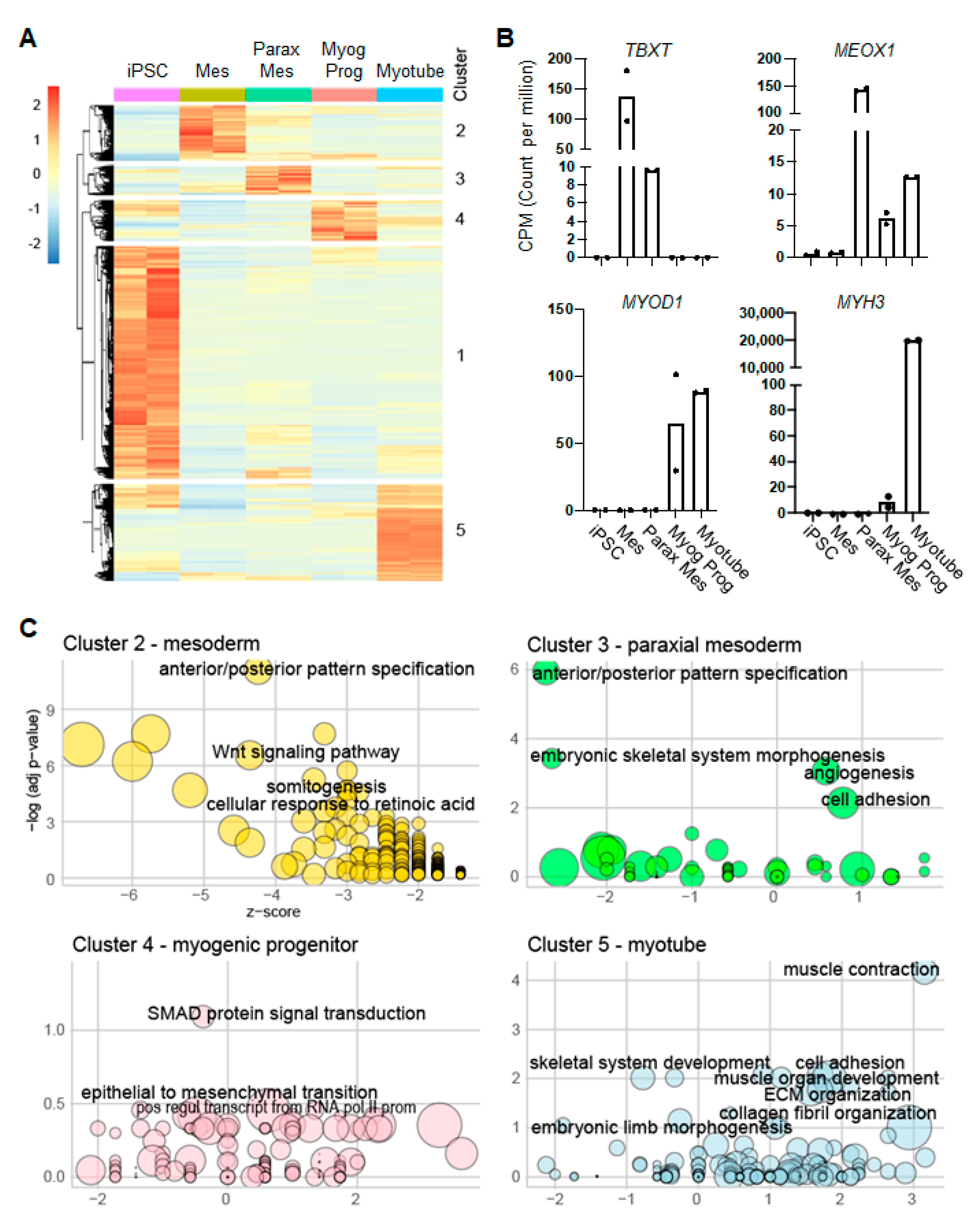 Cells 12 01147 g002 Cells 12 01147 g002