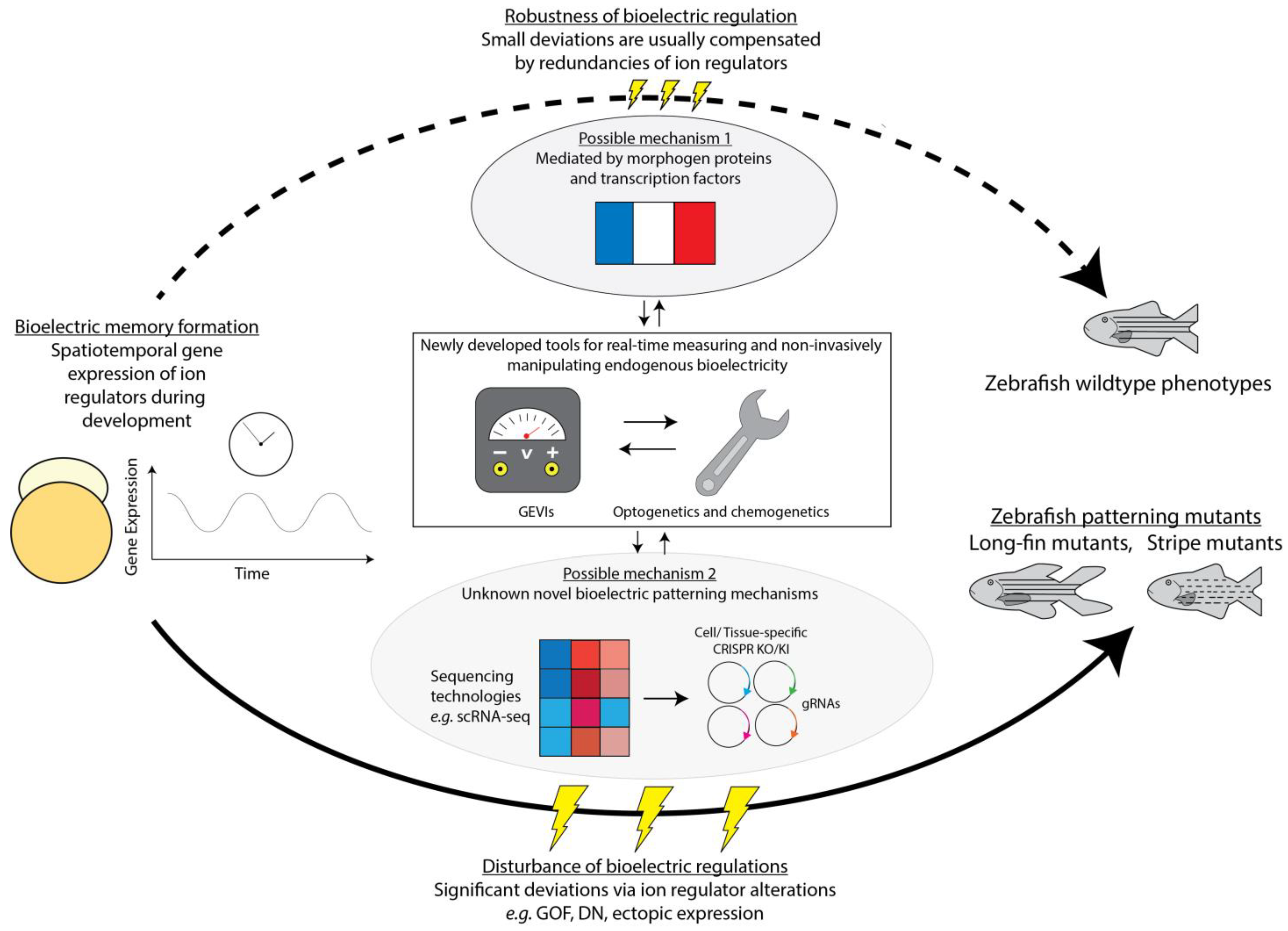 Cells 12 01148 g003 Cells 12 01148 g003