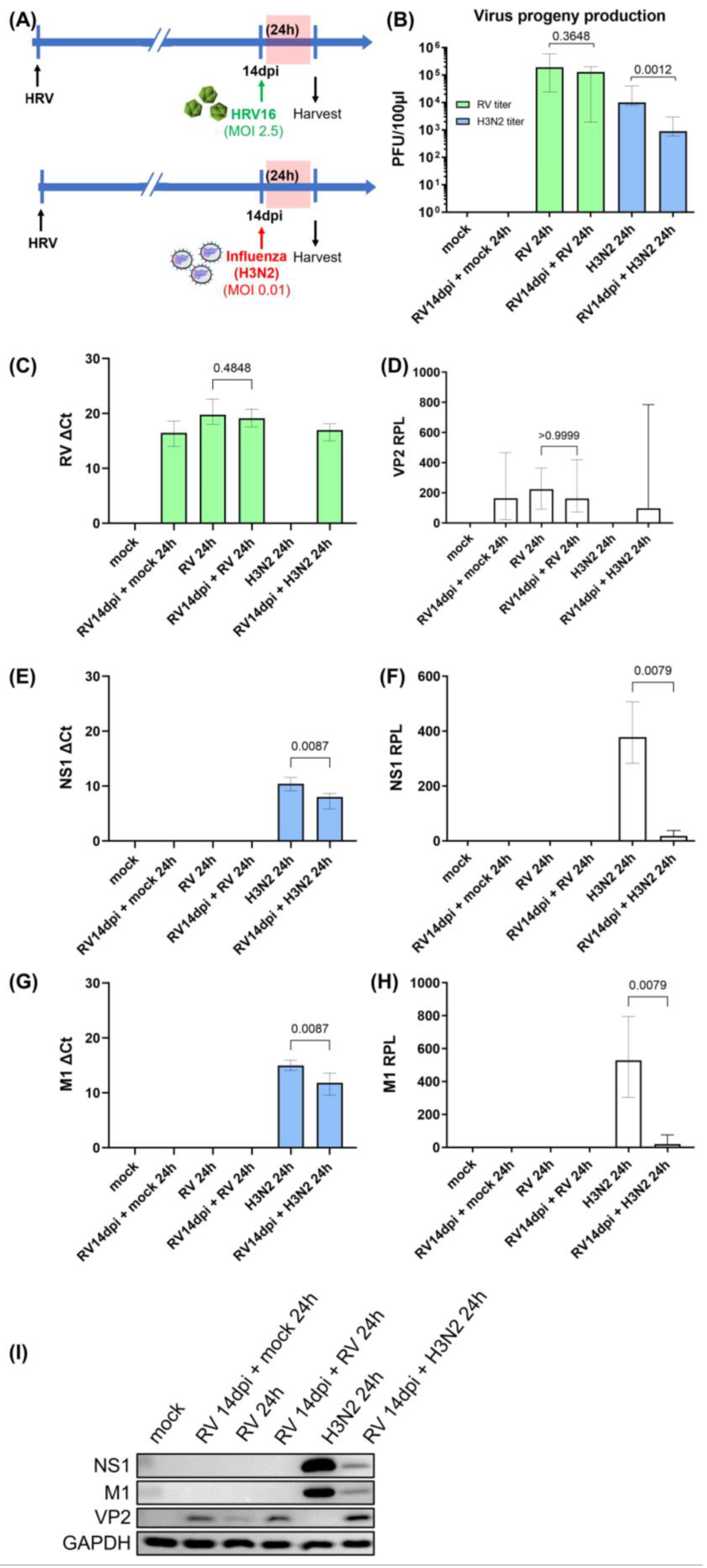 Cells 12 01152 g001 Cells 12 01152 g001
