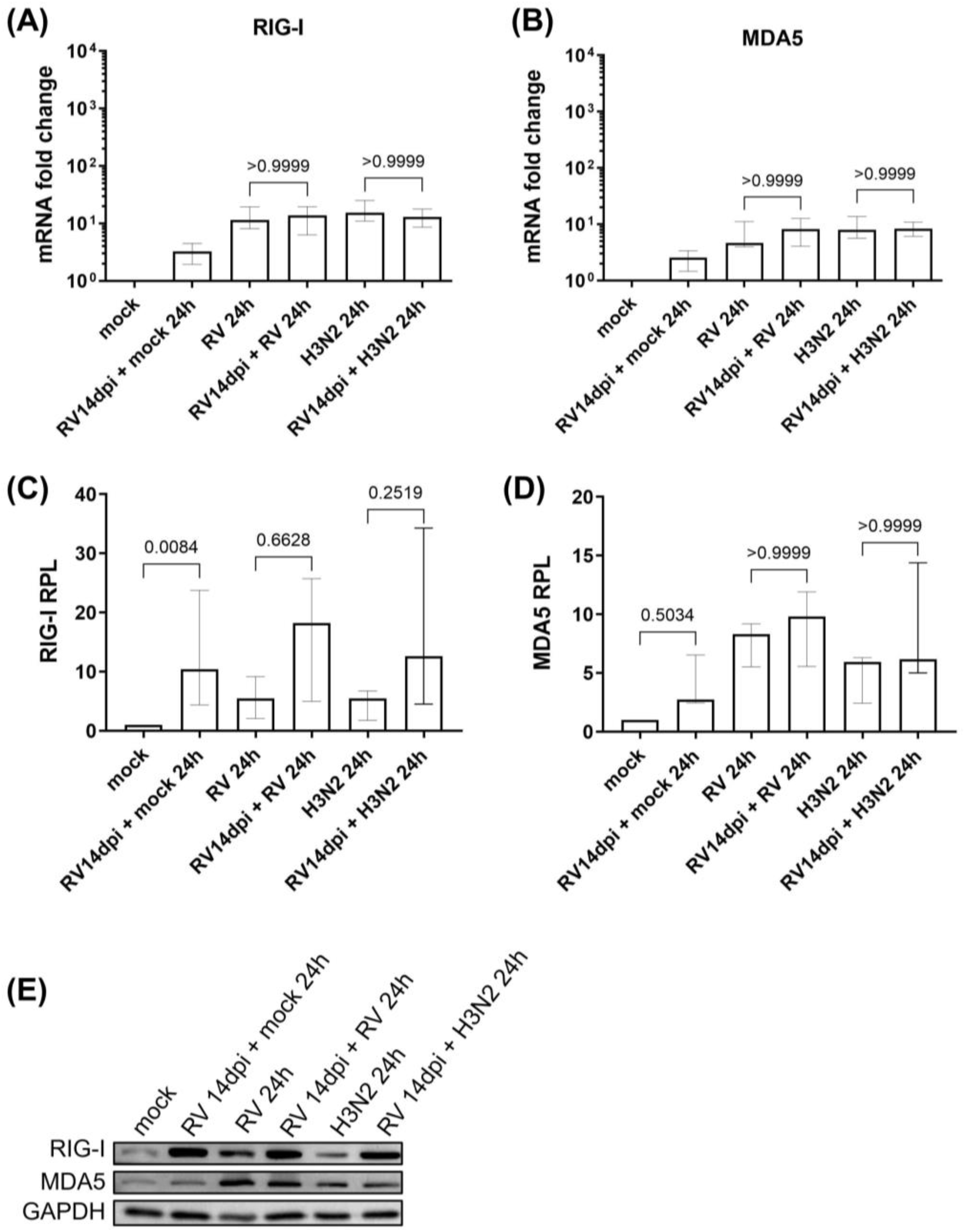 Cells 12 01152 g002 Cells 12 01152 g002