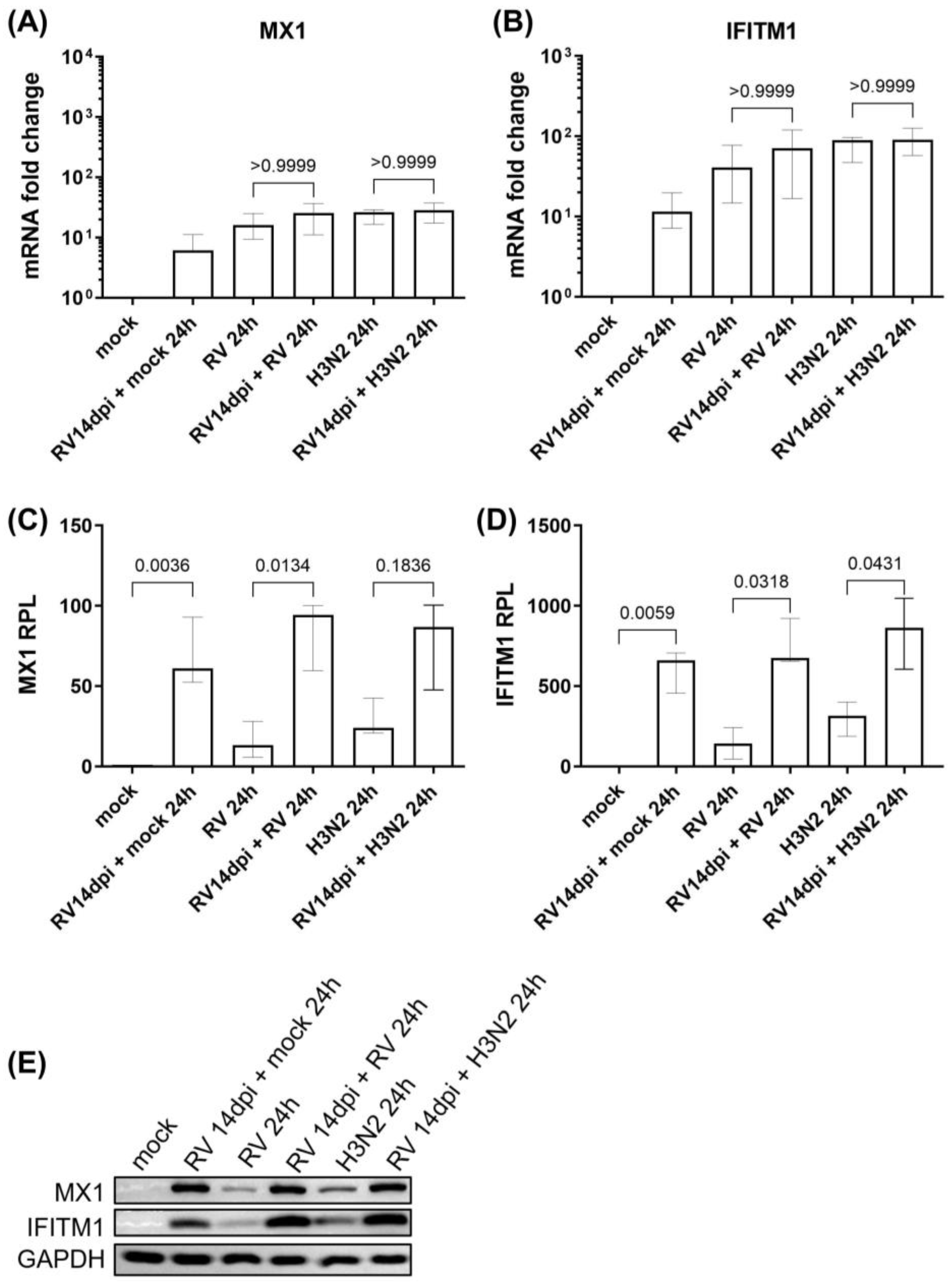 Cells 12 01152 g003 Cells 12 01152 g003