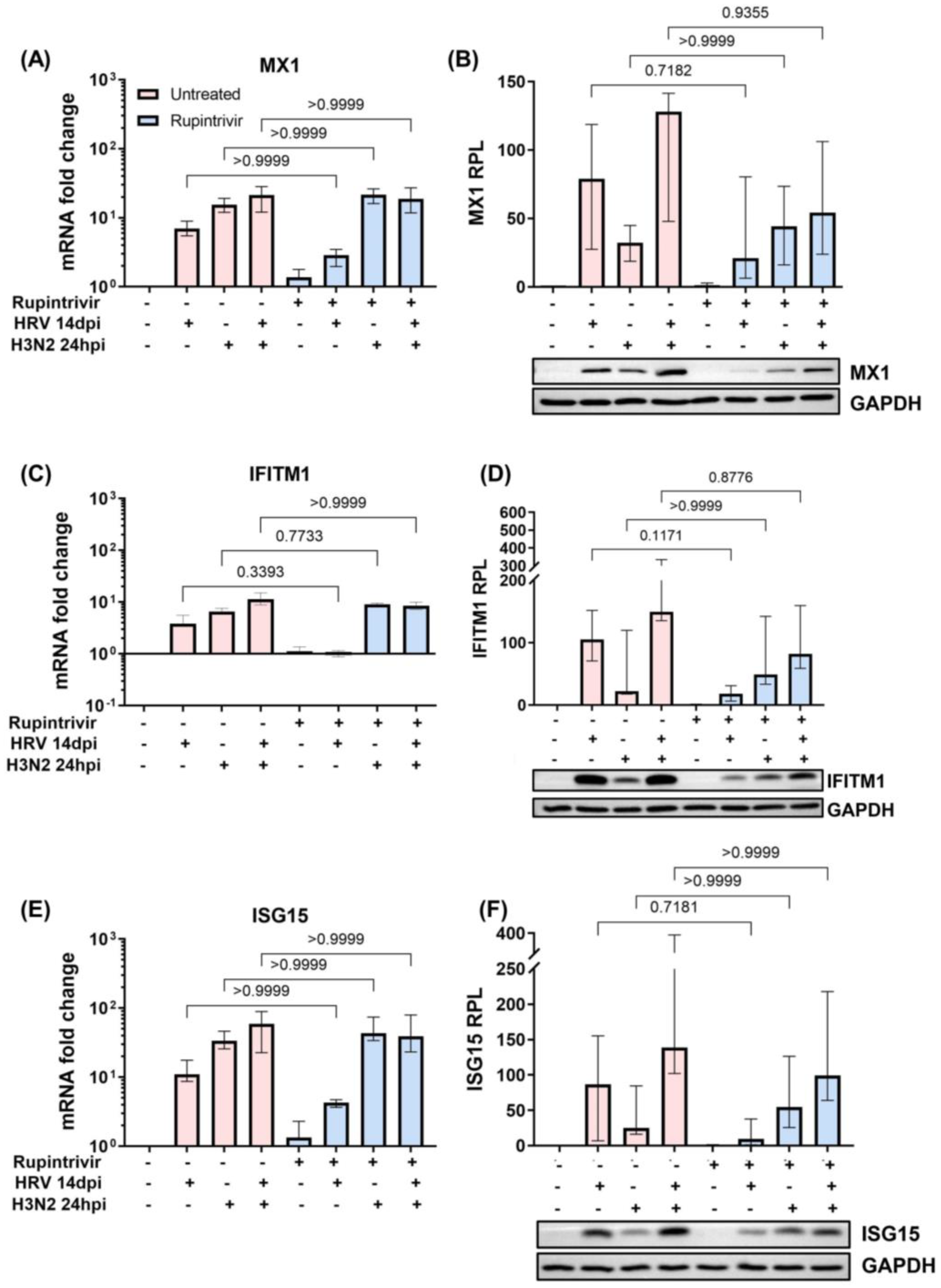 Cells 12 01152 g005 Cells 12 01152 g005