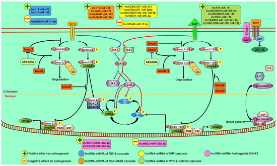 Differential Expression of Non-Coding RNAs in ... Biology Diagrams
