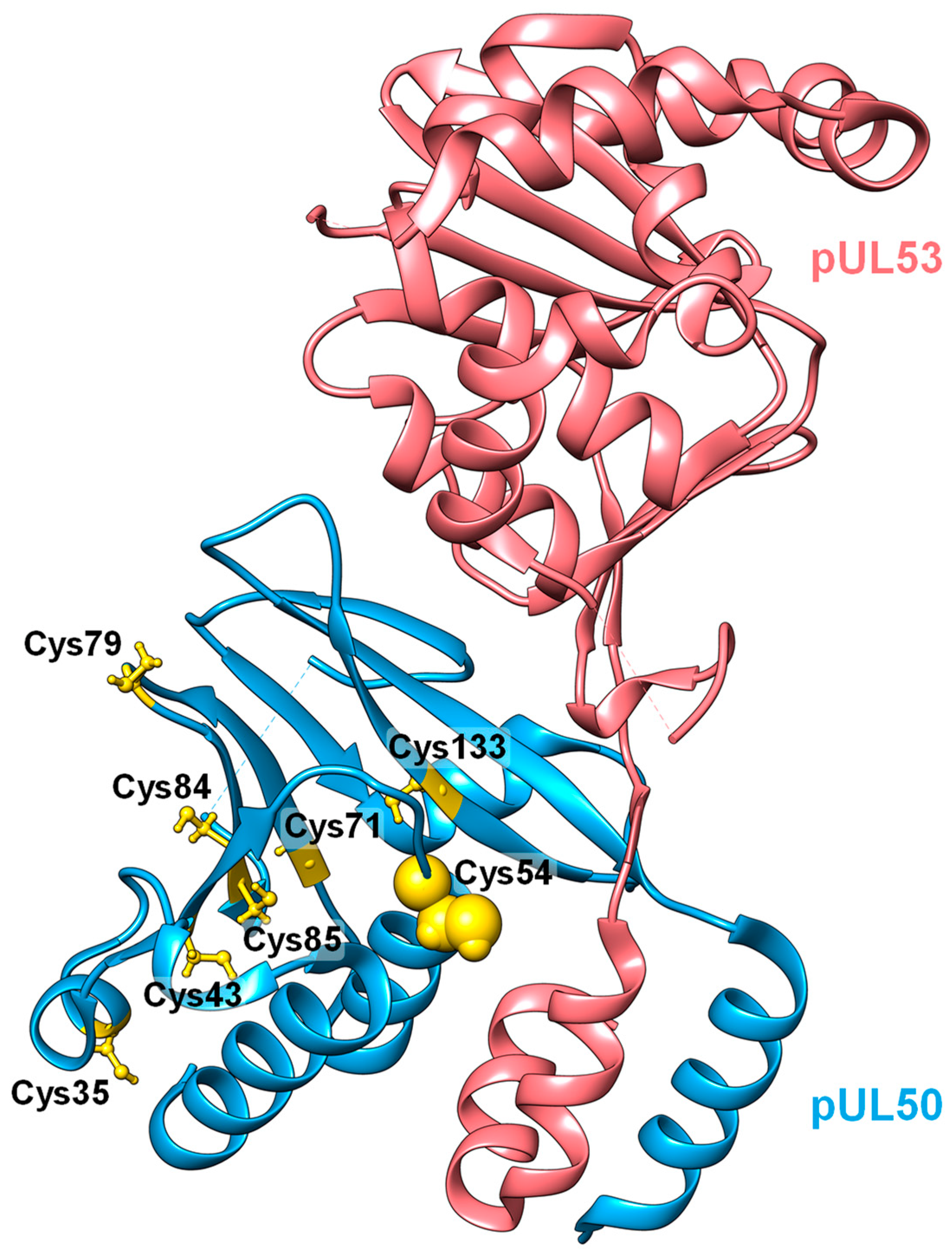 Cells 12 01162 g003 Cells 12 01162 g003
