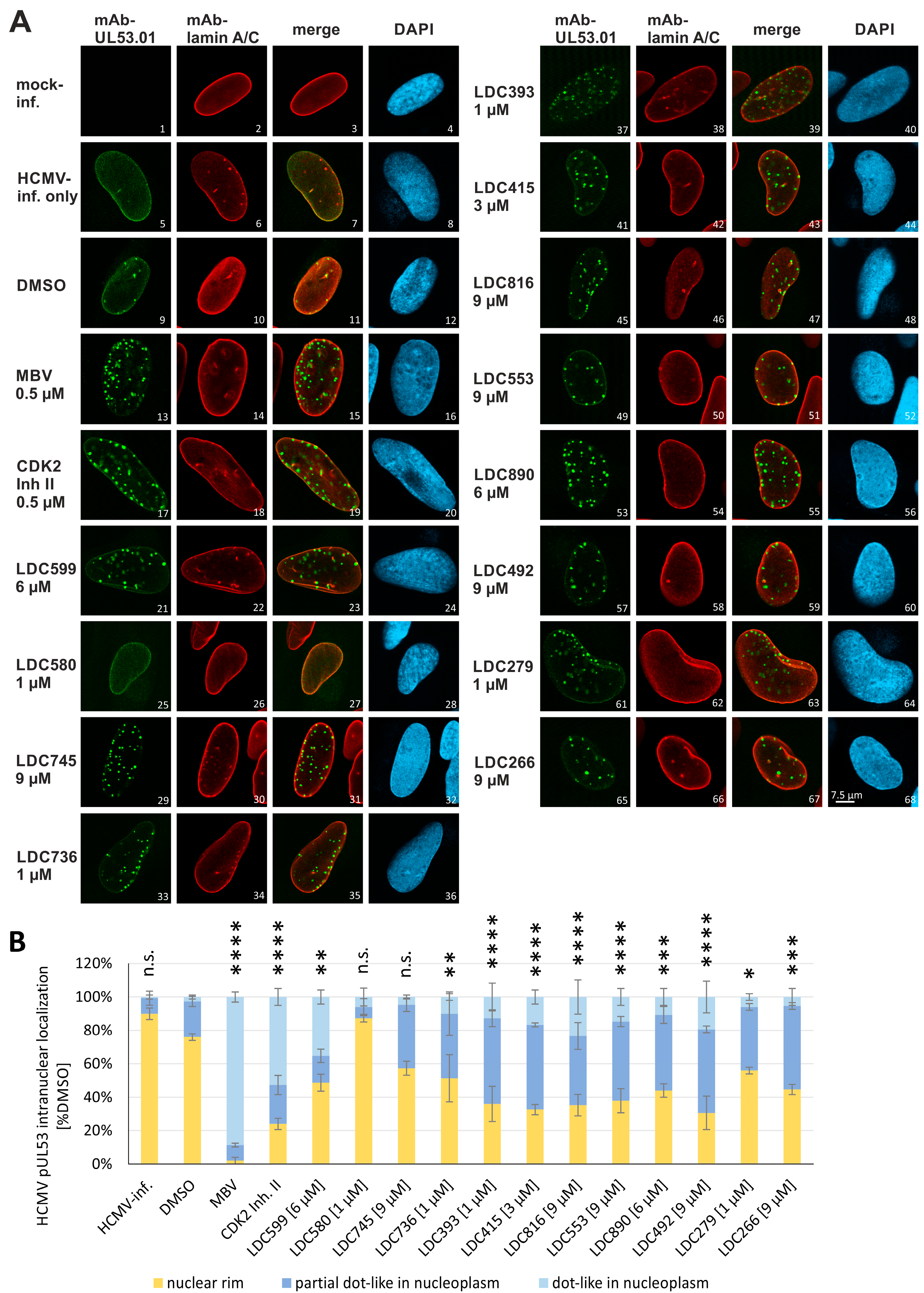 Cells 12 01162 g004 Cells 12 01162 g004