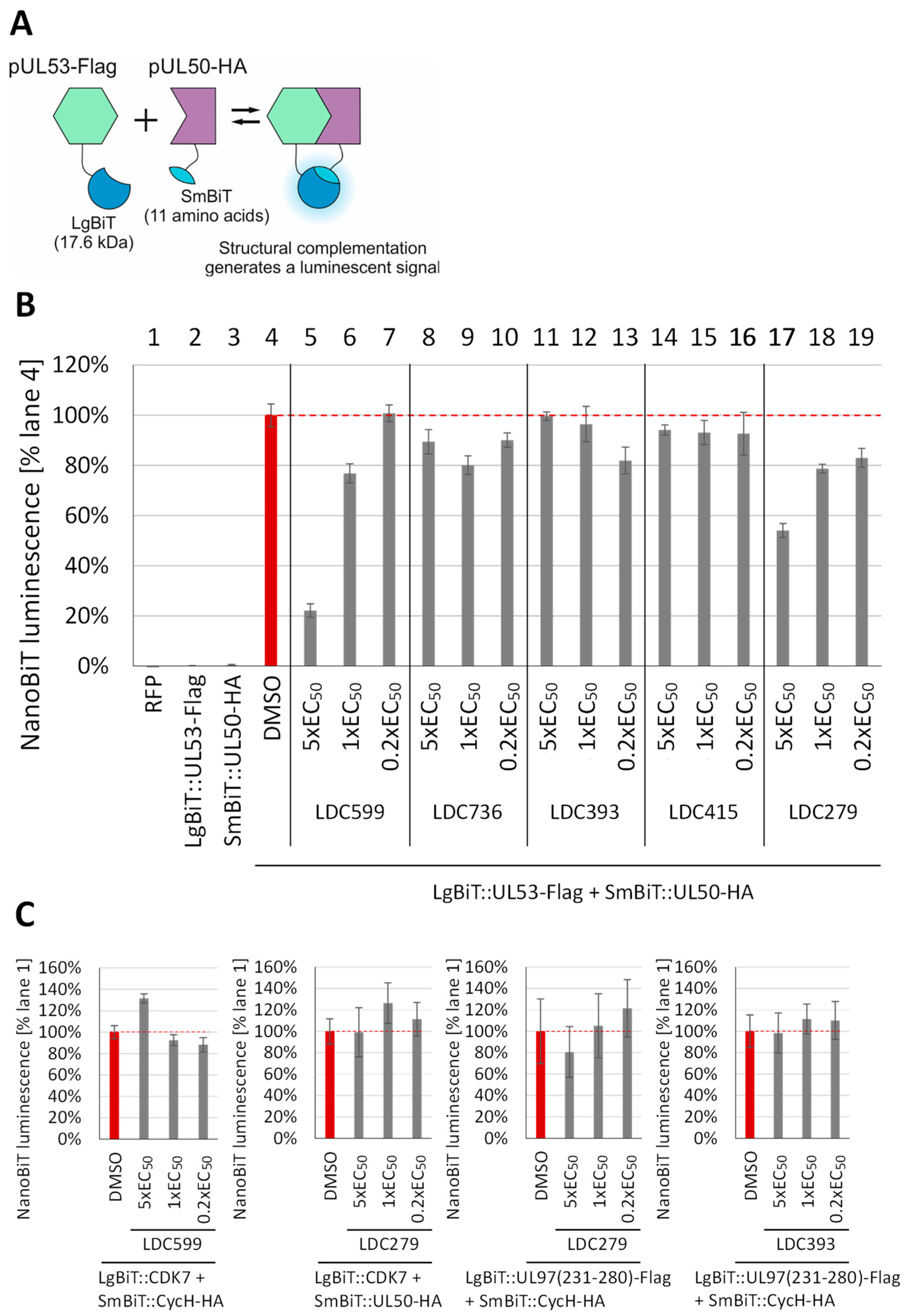Cells 12 01162 g005 Cells 12 01162 g005
