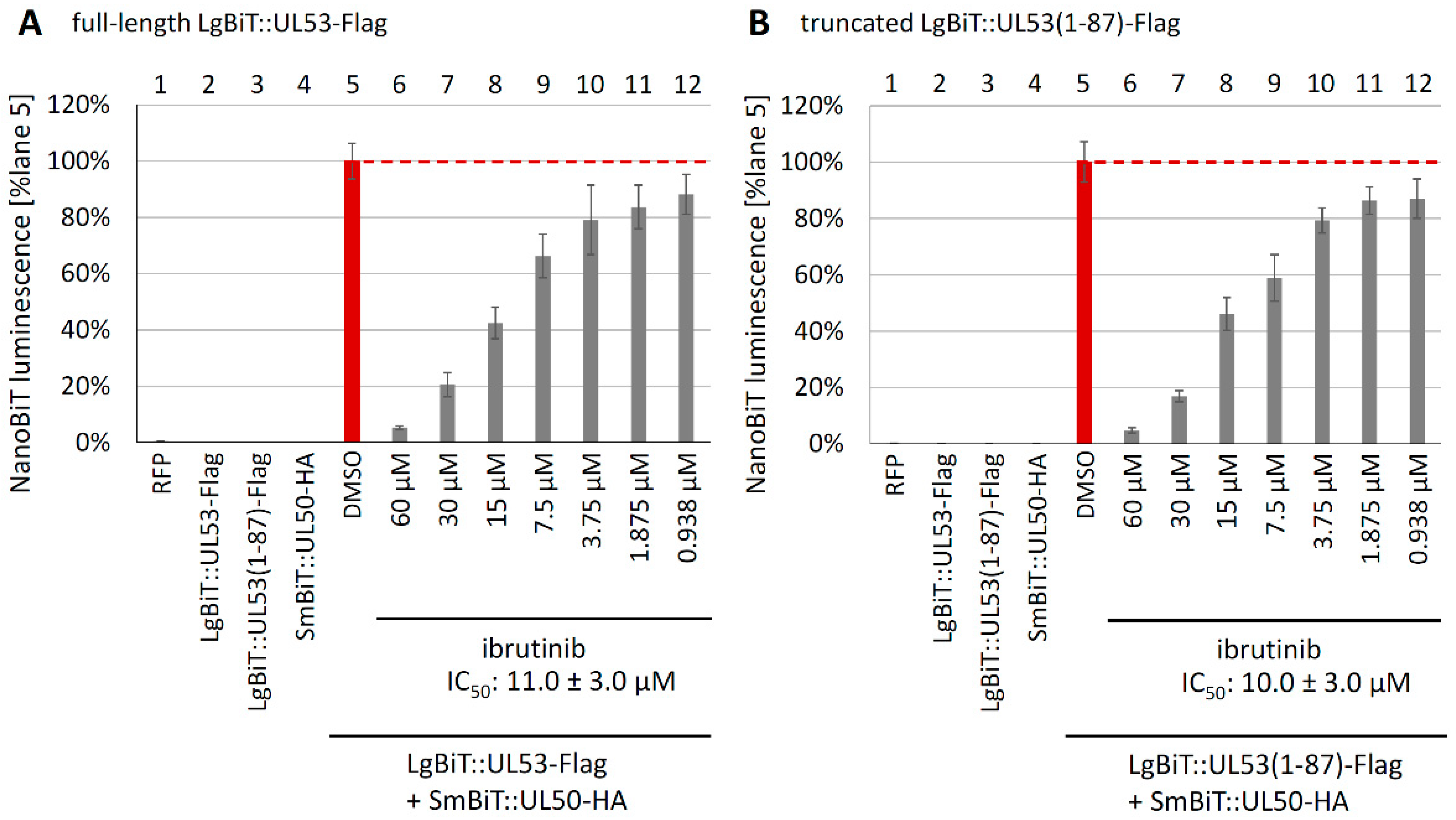 Cells 12 01162 g009 Cells 12 01162 g009