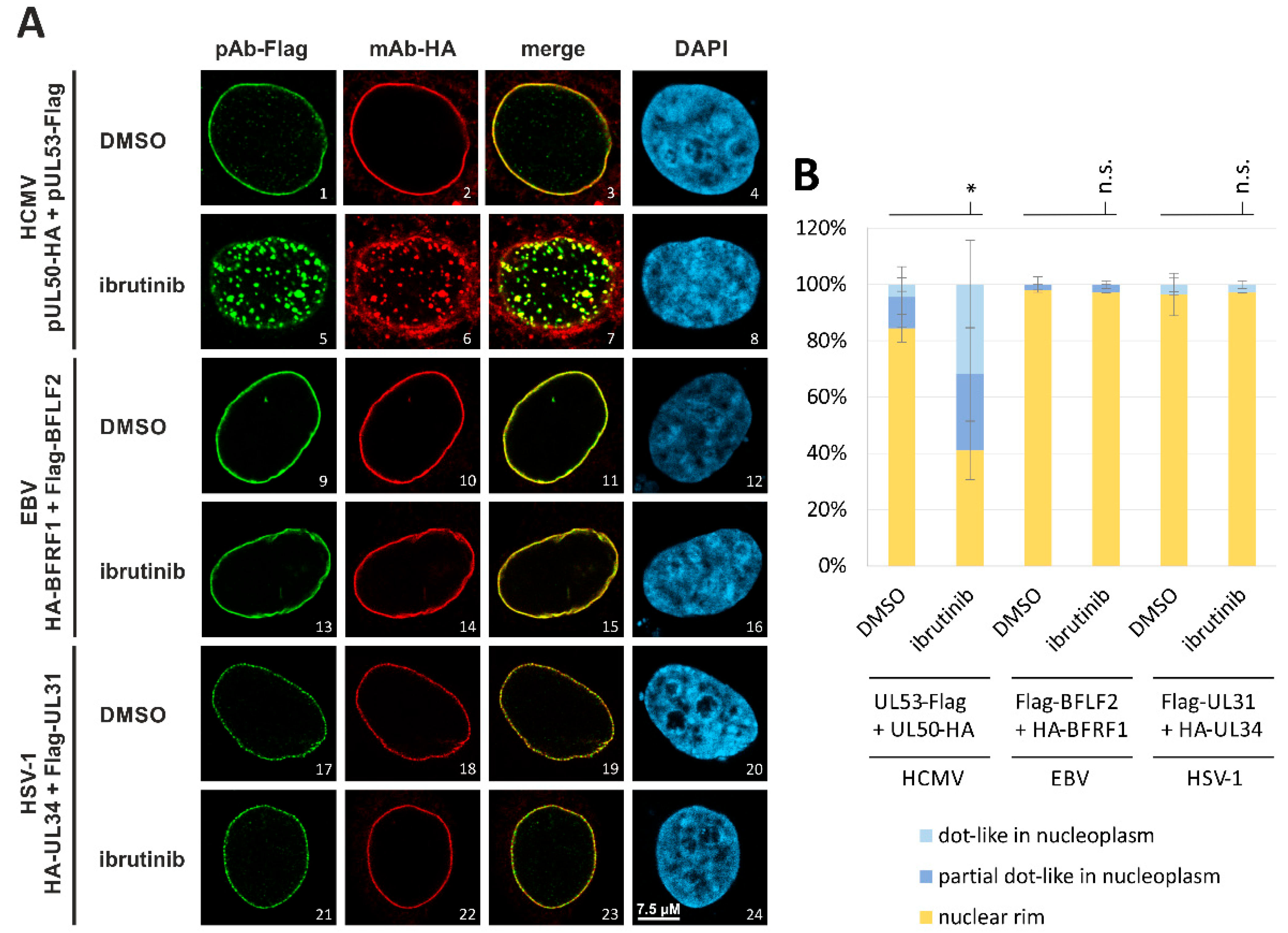 Cells 12 01162 g010 Cells 12 01162 g010