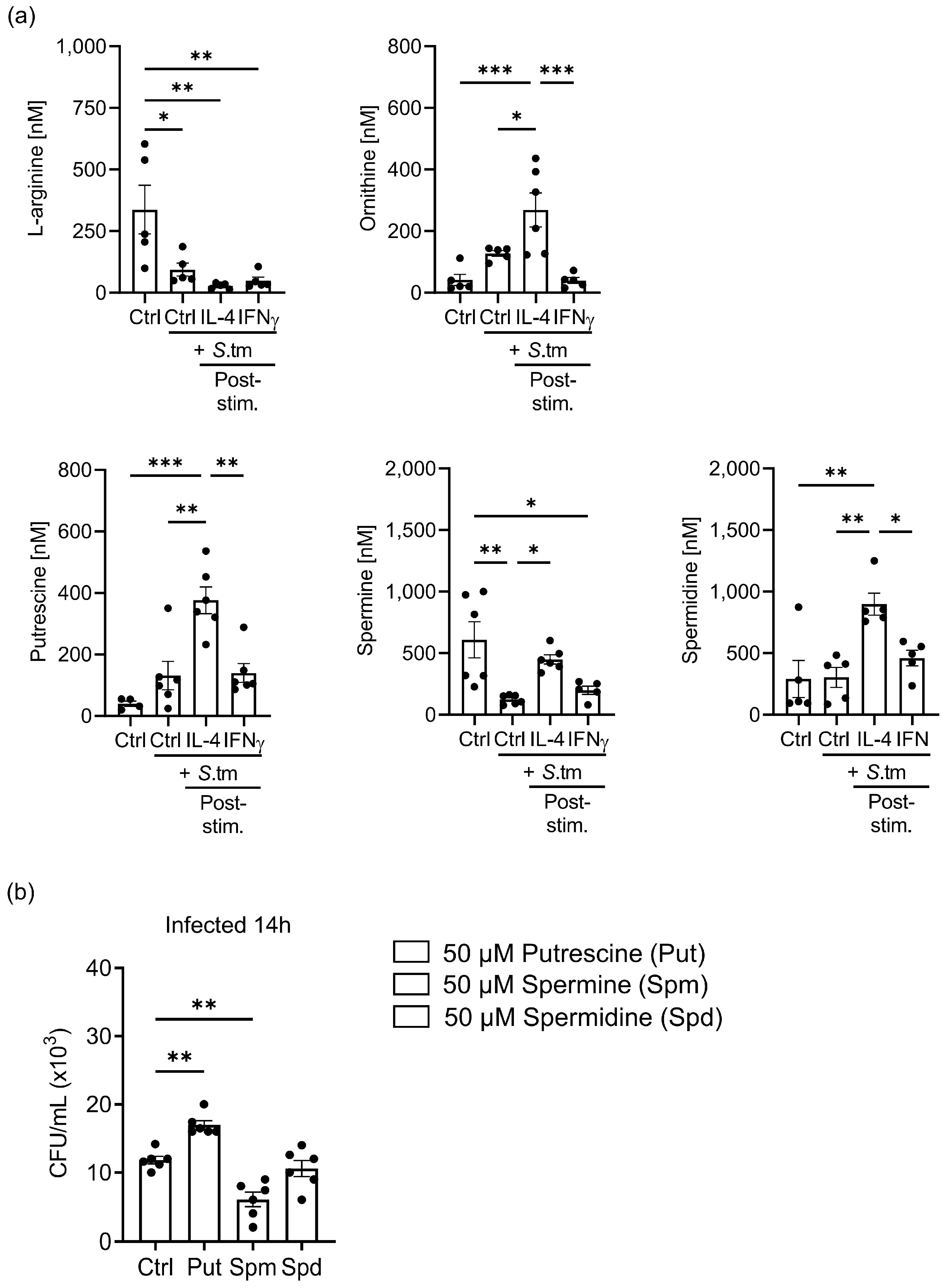 Cells 12 01164 g008 Cells 12 01164 g008