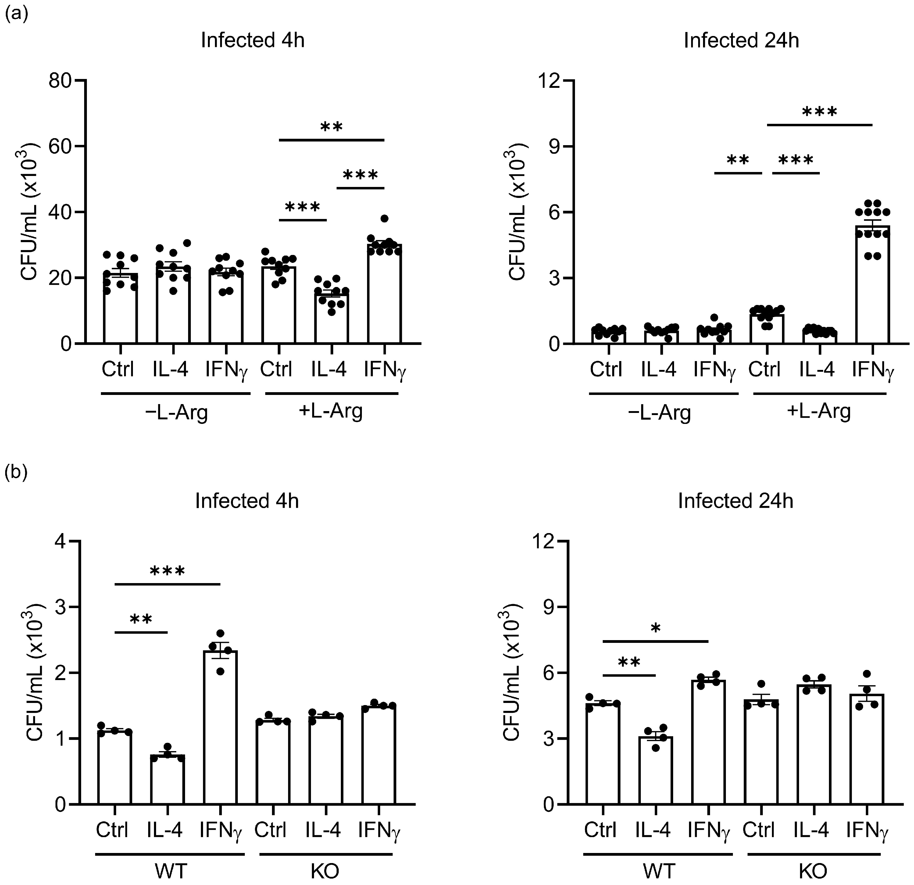 Cells 12 01164 g009 Cells 12 01164 g009