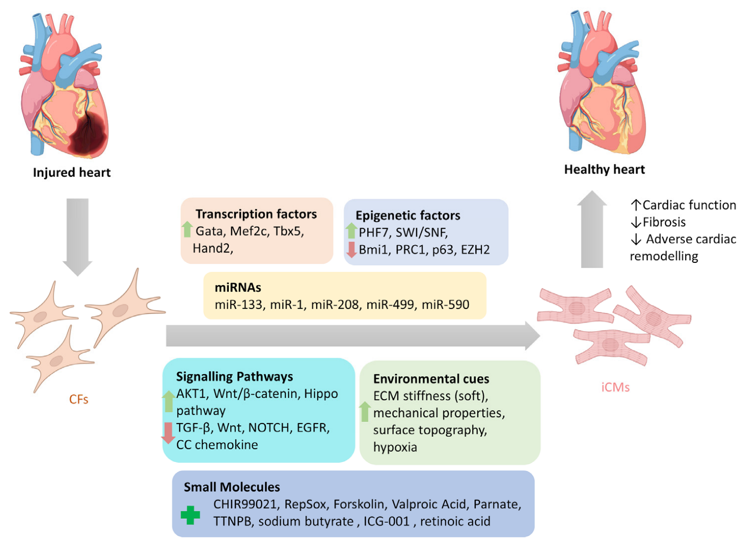 Cells 12 01166 g001 Cells 12 01166 g001