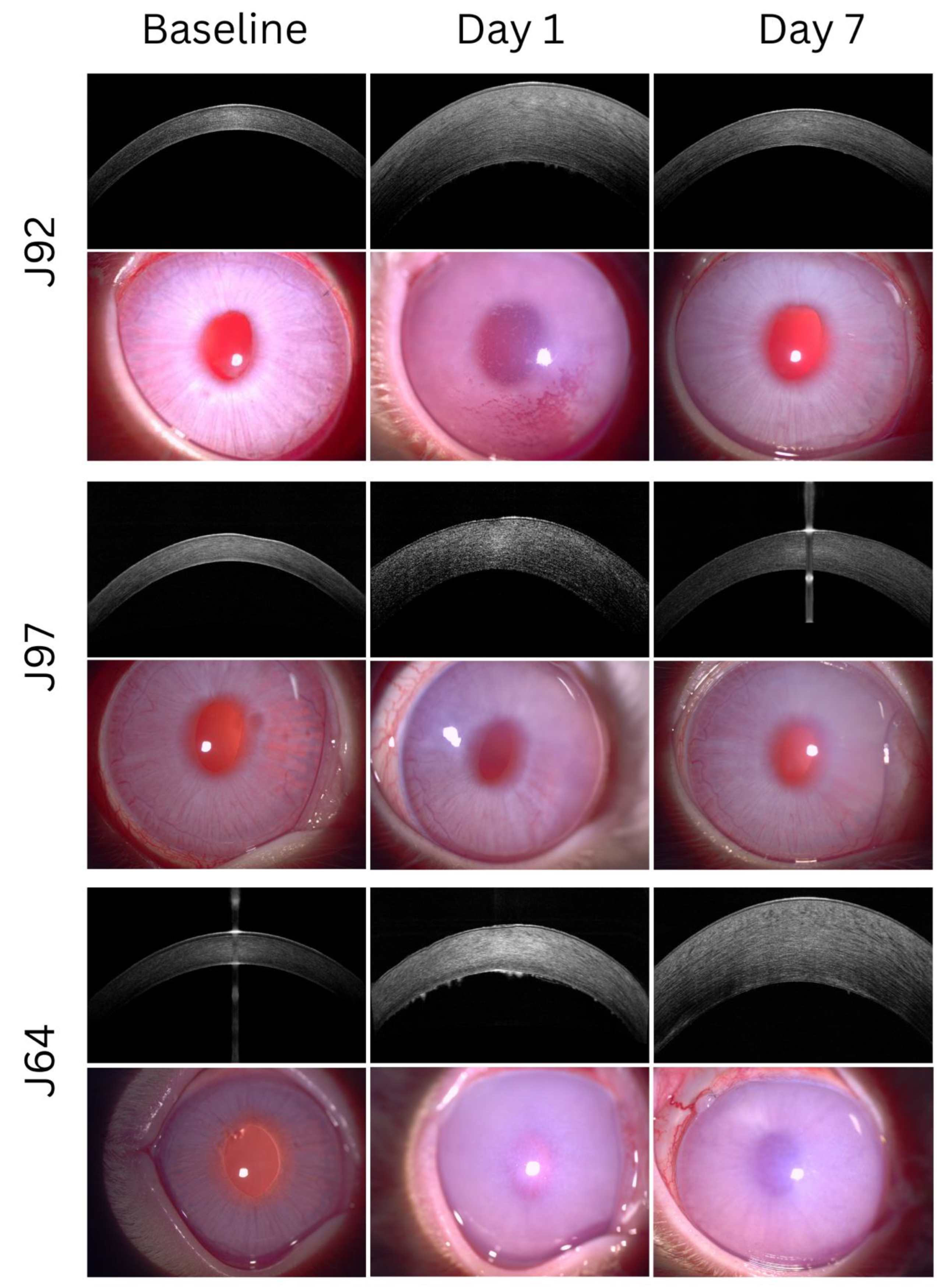 Cells 12 01167 g001 Cells 12 01167 g001