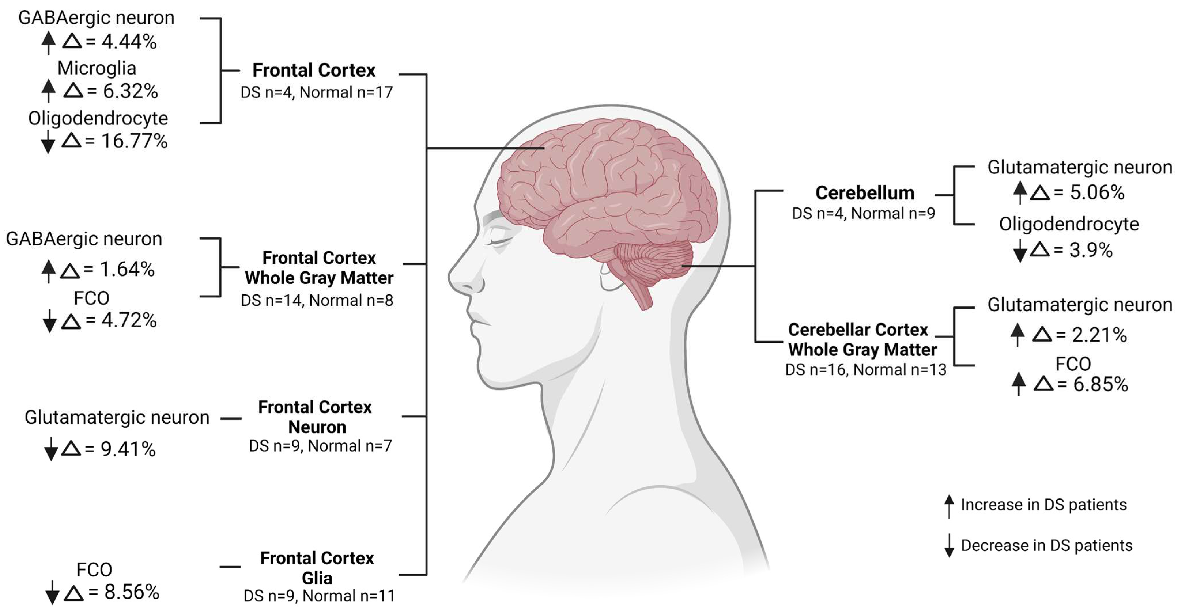 Cells 12 01168 g004 Cells 12 01168 g004