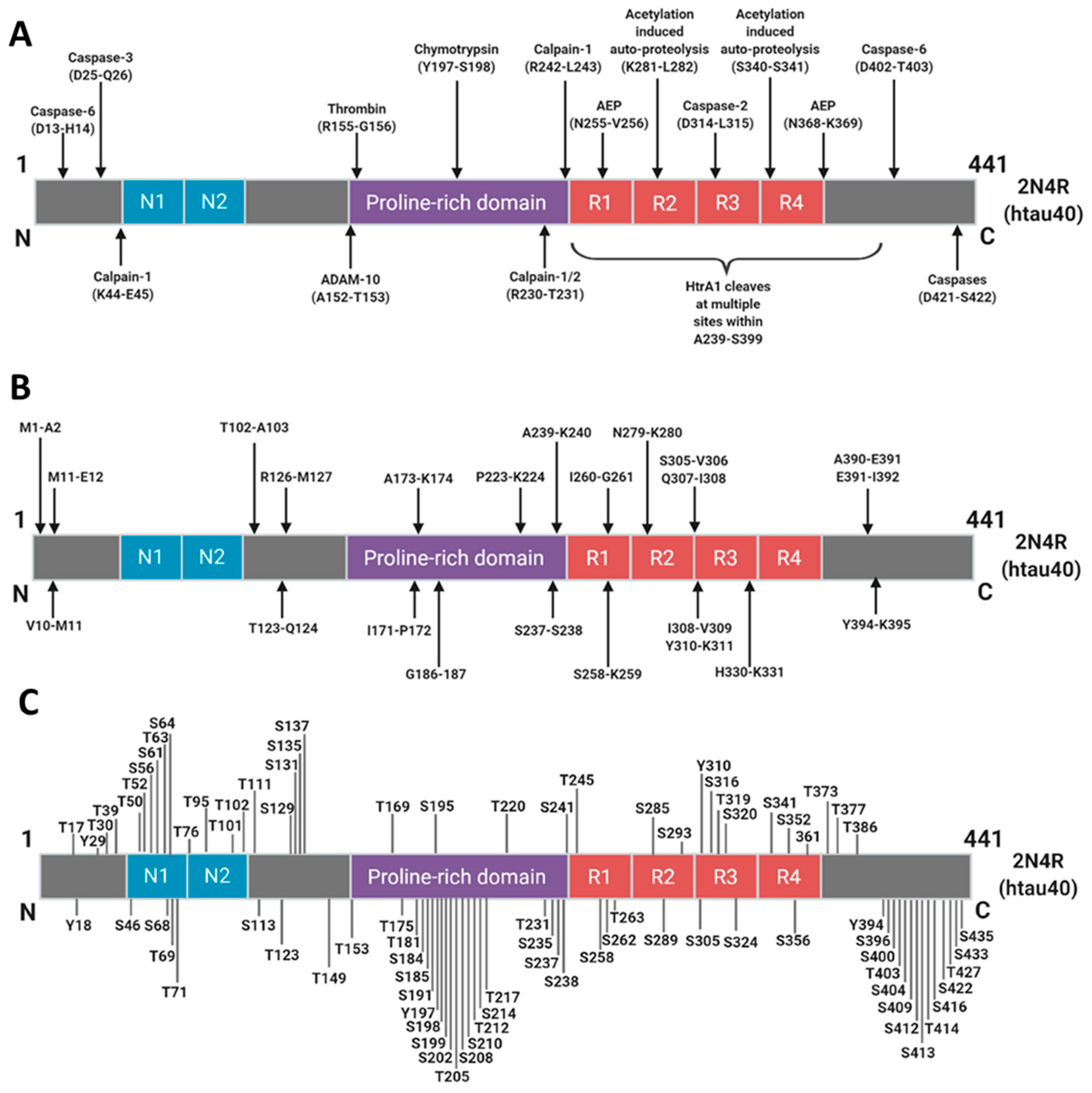 Cells 12 01184 g006 Cells 12 01184 g006