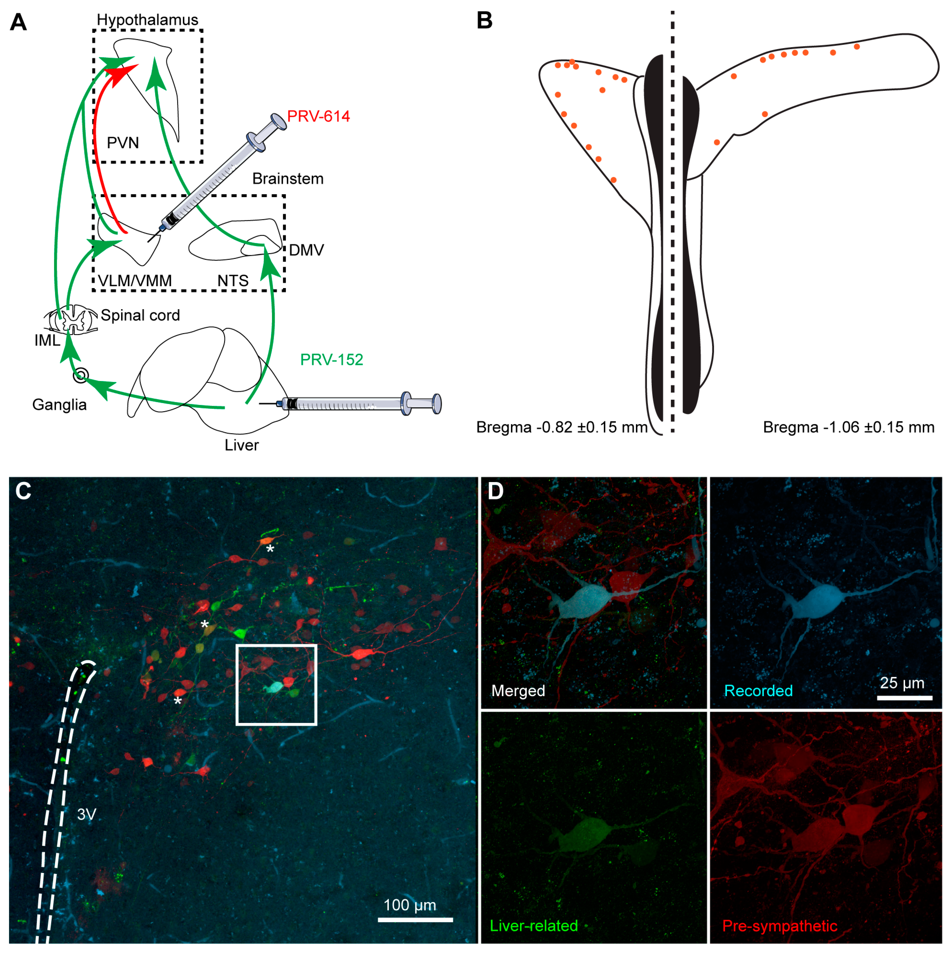 Cells 12 01194 g004 Cells 12 01194 g004