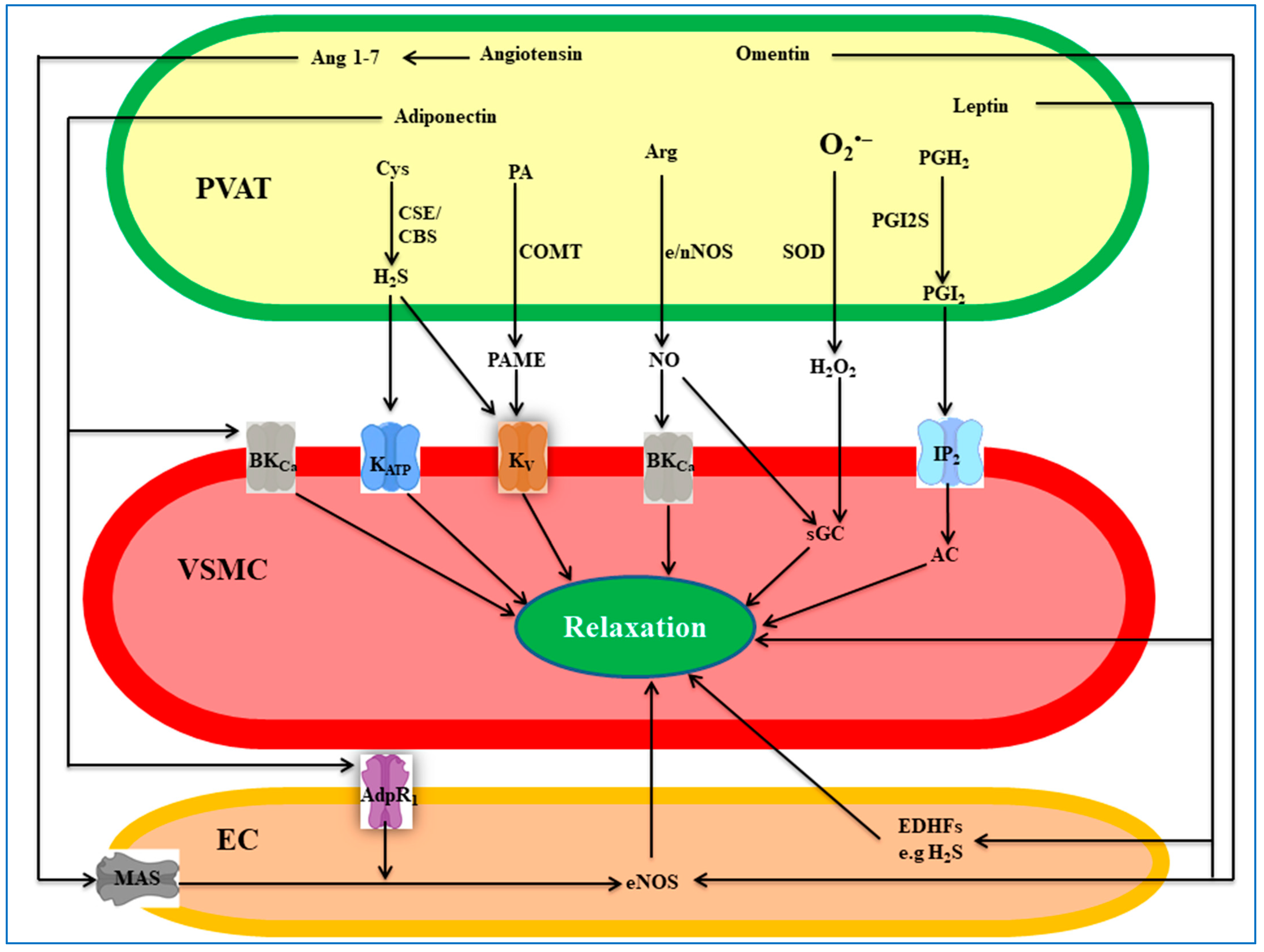 Cells 12 01196 g002 Cells 12 01196 g002