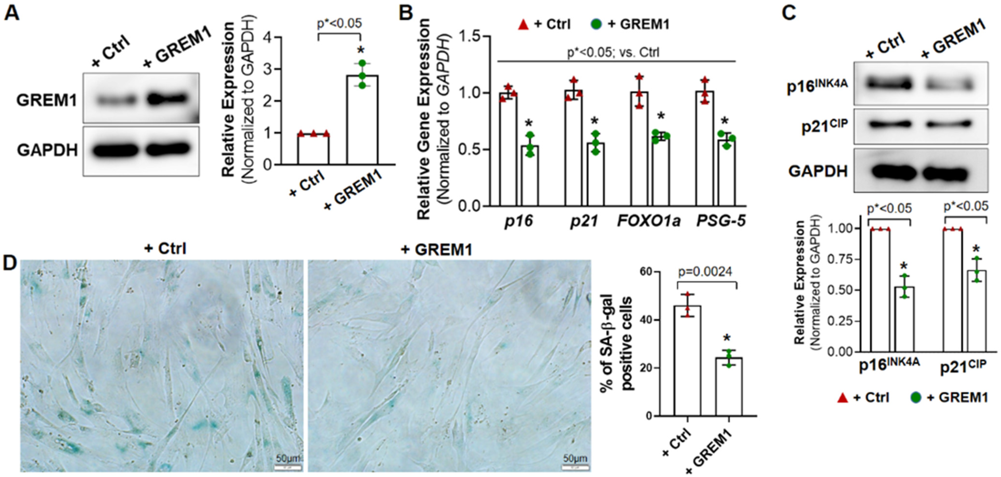 Cells 12 01203 g002 Cells 12 01203 g002