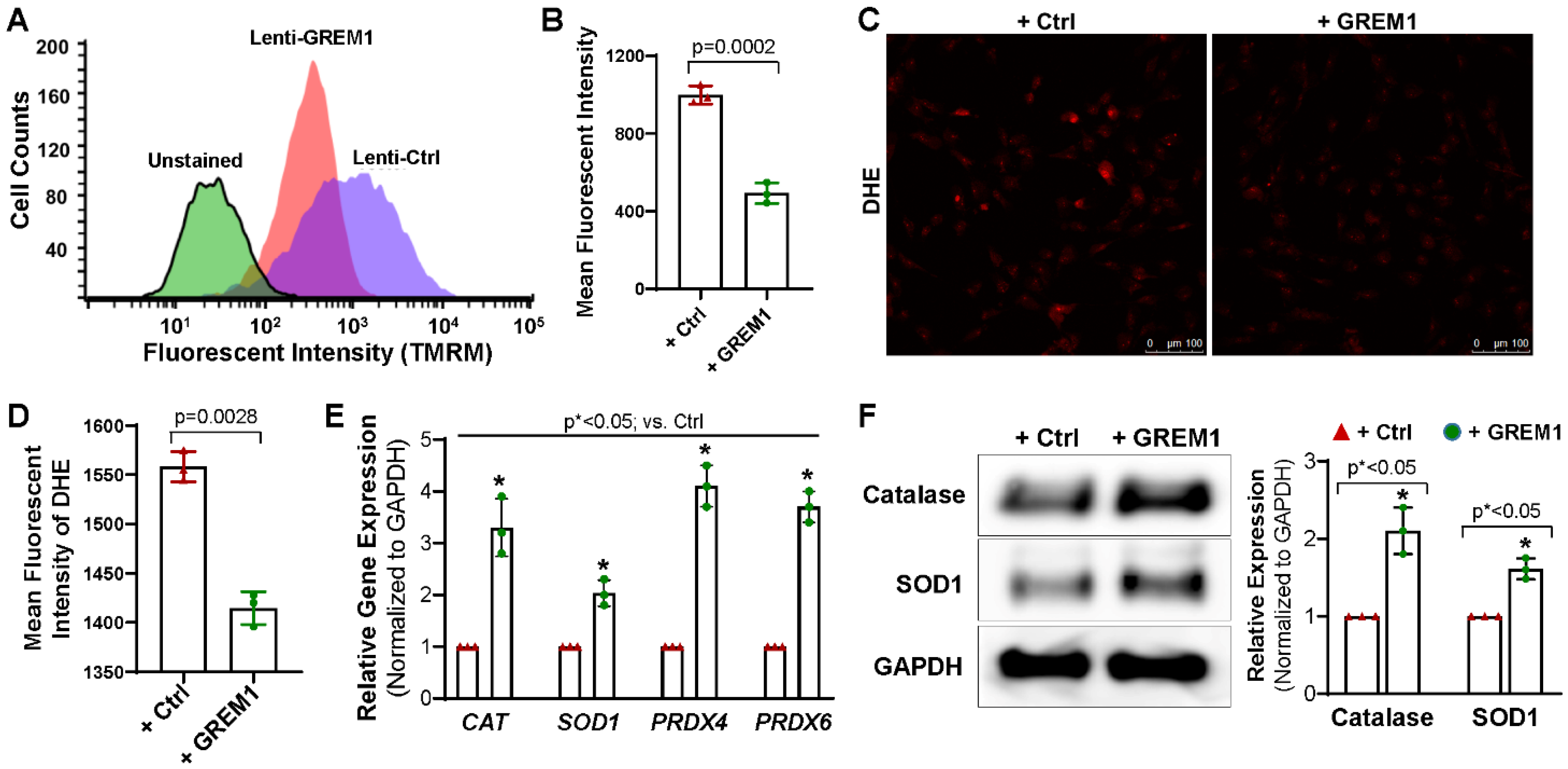 Cells 12 01203 g004 Cells 12 01203 g004