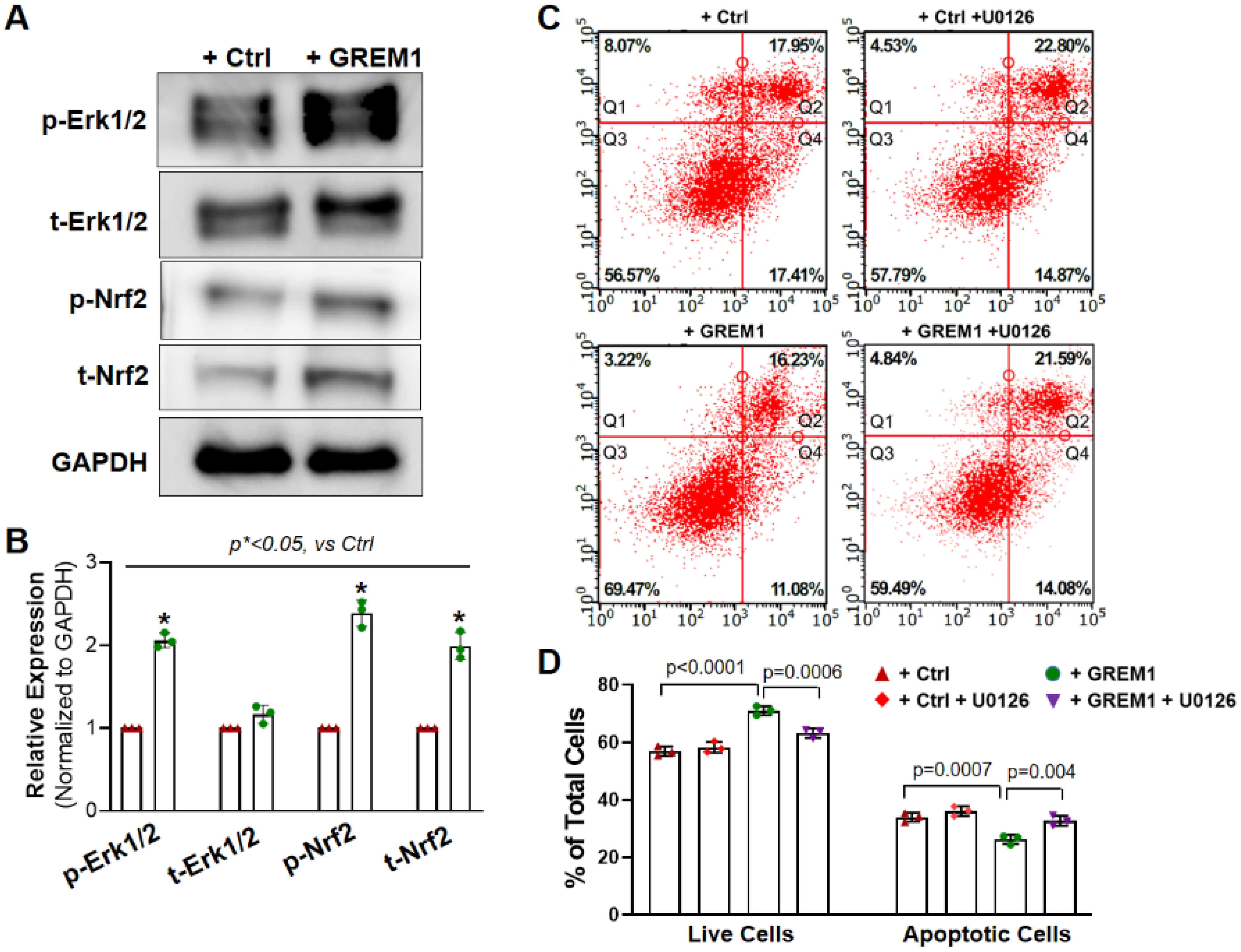 Cells 12 01203 g005 Cells 12 01203 g005