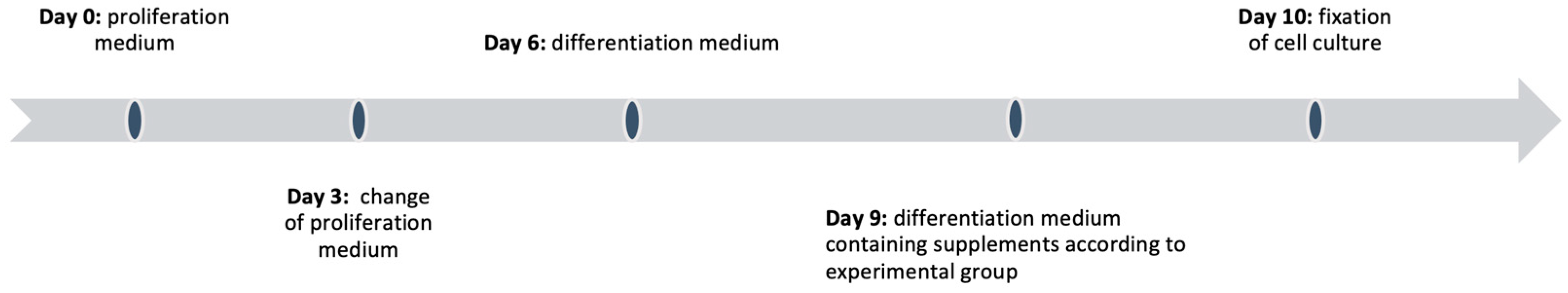 Cells 12 01206 g001 Cells 12 01206 g001