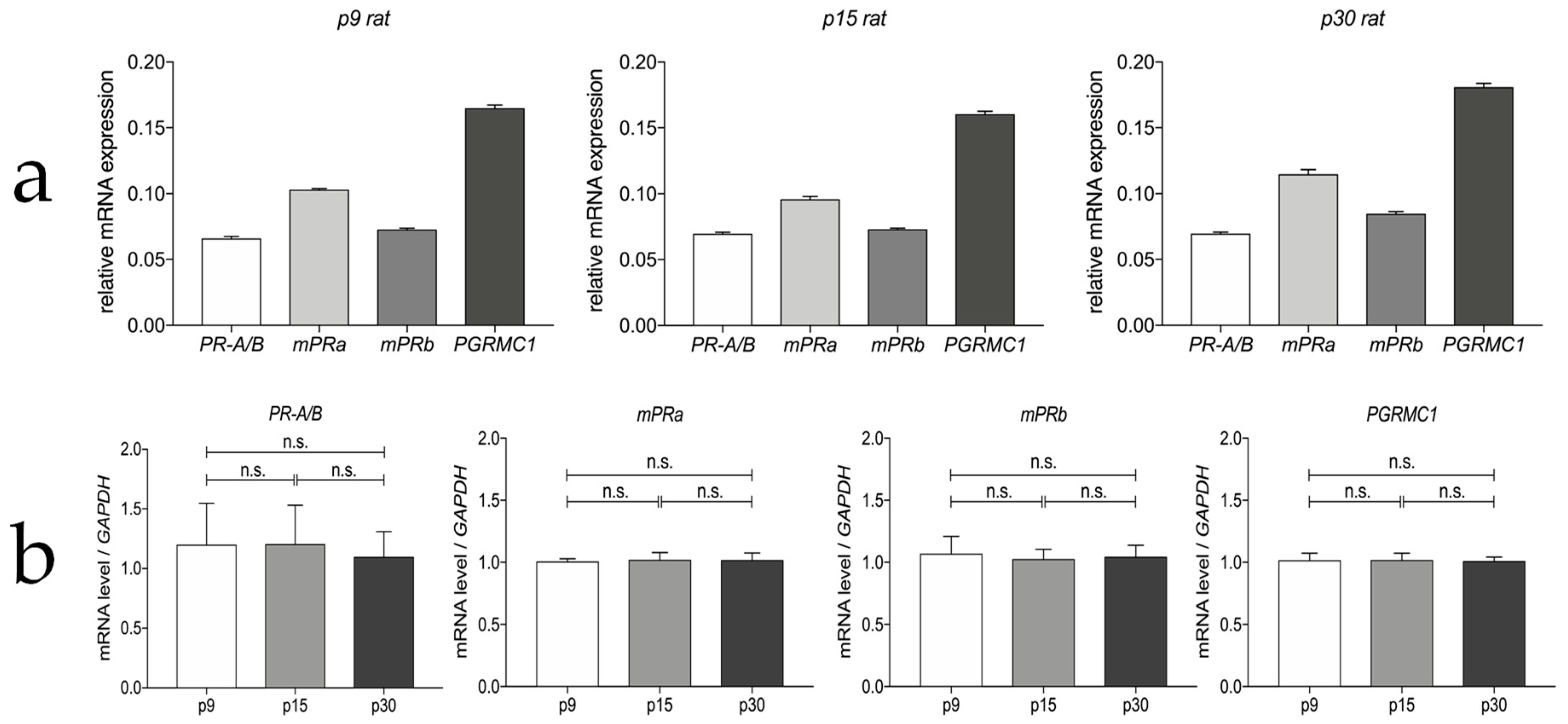 Cells 12 01206 g002 Cells 12 01206 g002