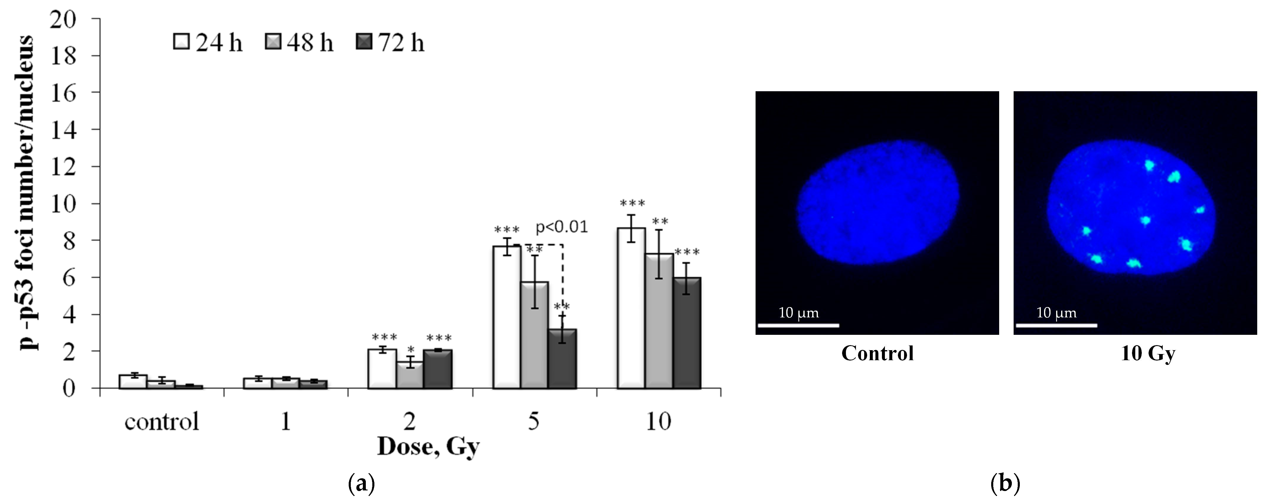 Cells 12 01209 g004 Cells 12 01209 g004