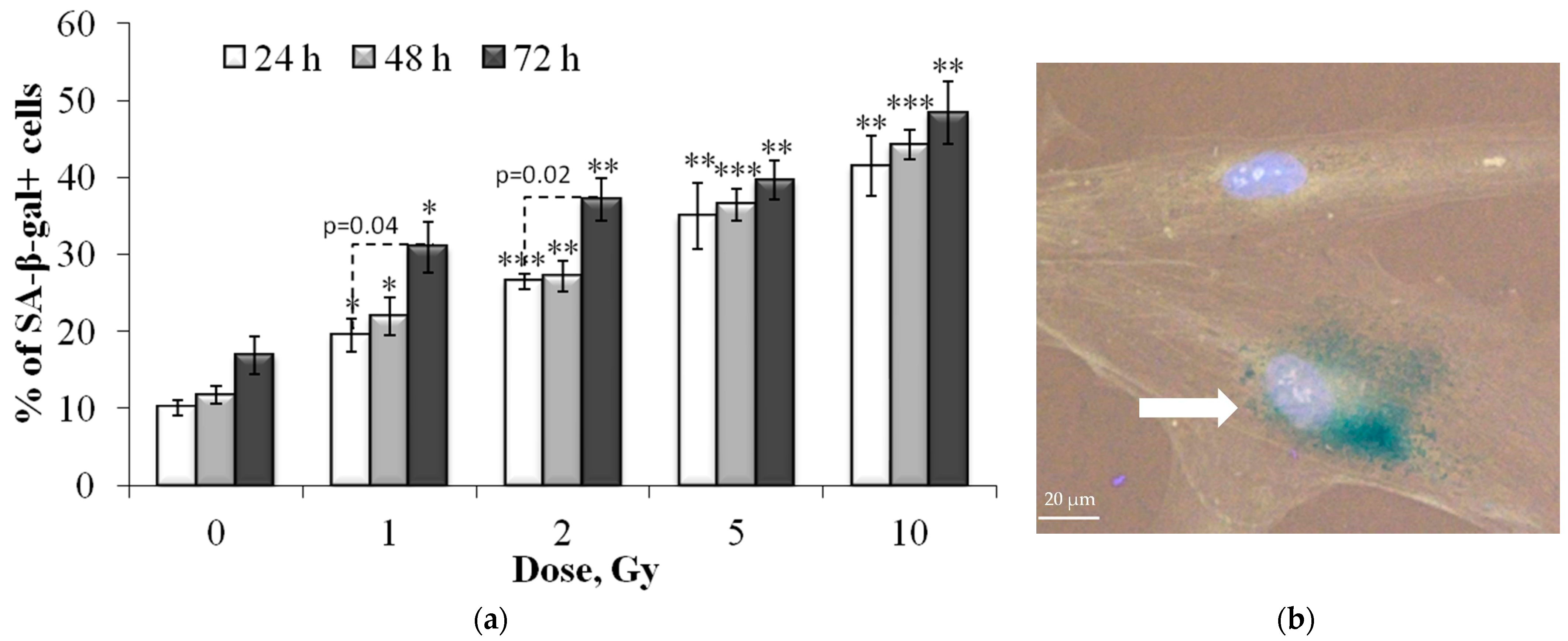 Cells 12 01209 g006 Cells 12 01209 g006