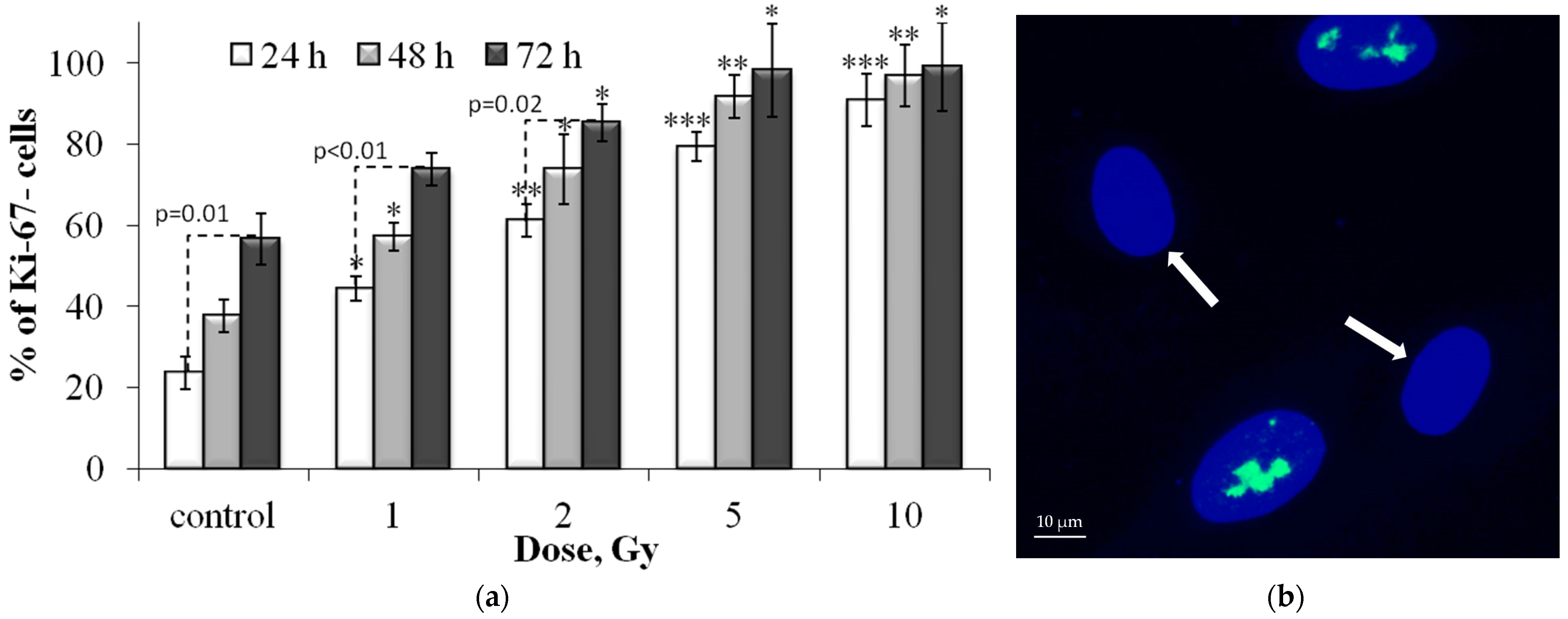 Cells 12 01209 g007 Cells 12 01209 g007