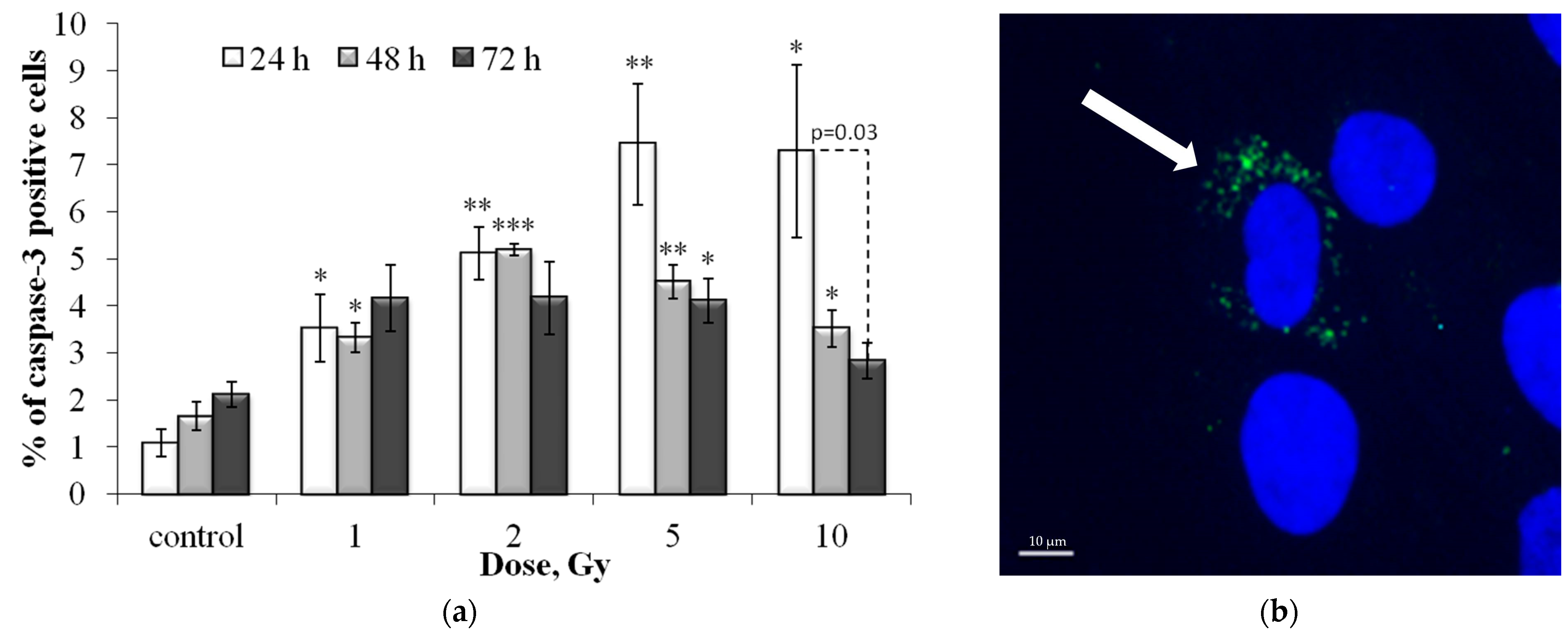 Cells 12 01209 g010 Cells 12 01209 g010