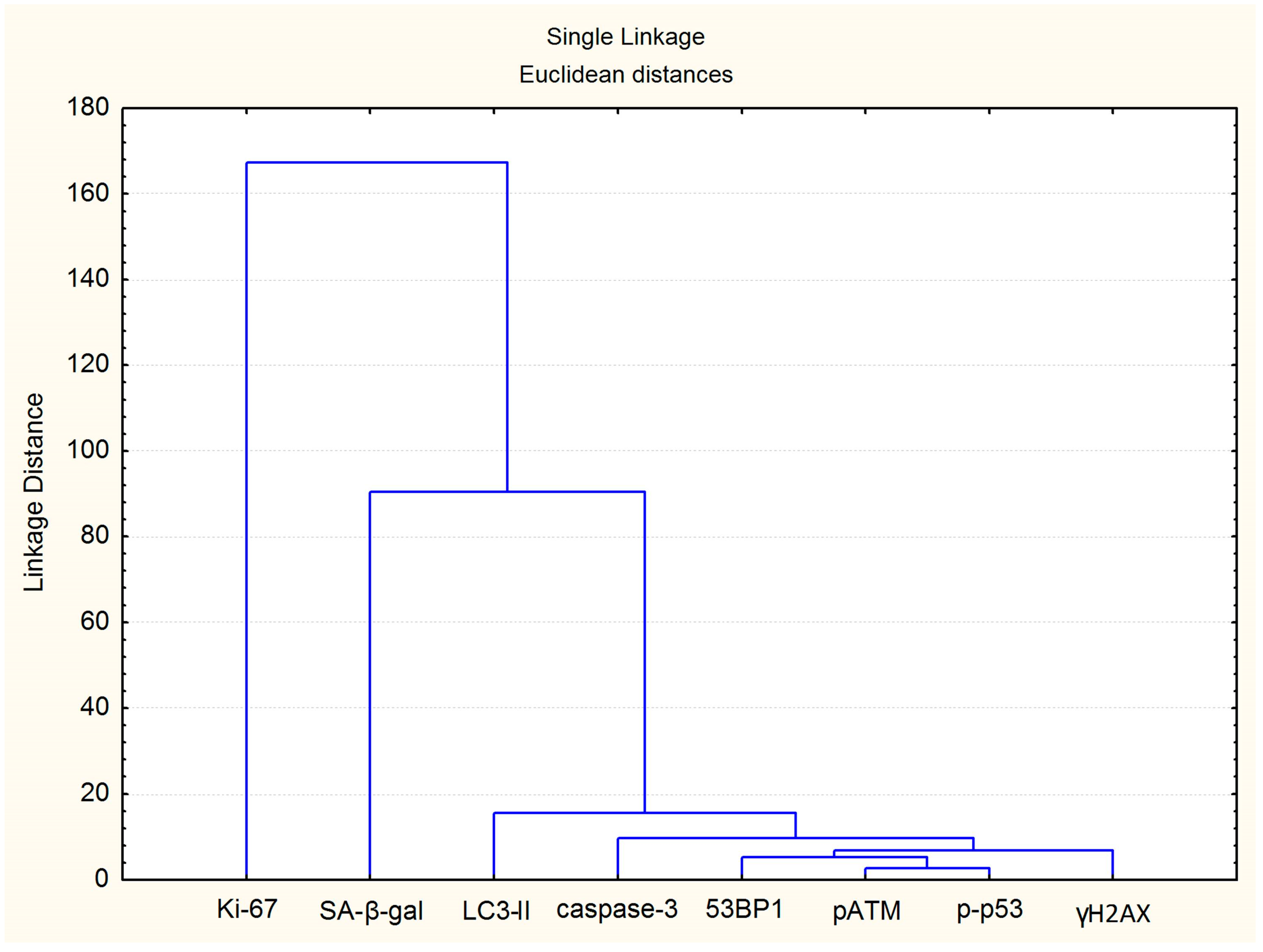 Cells 12 01209 g011 Cells 12 01209 g011