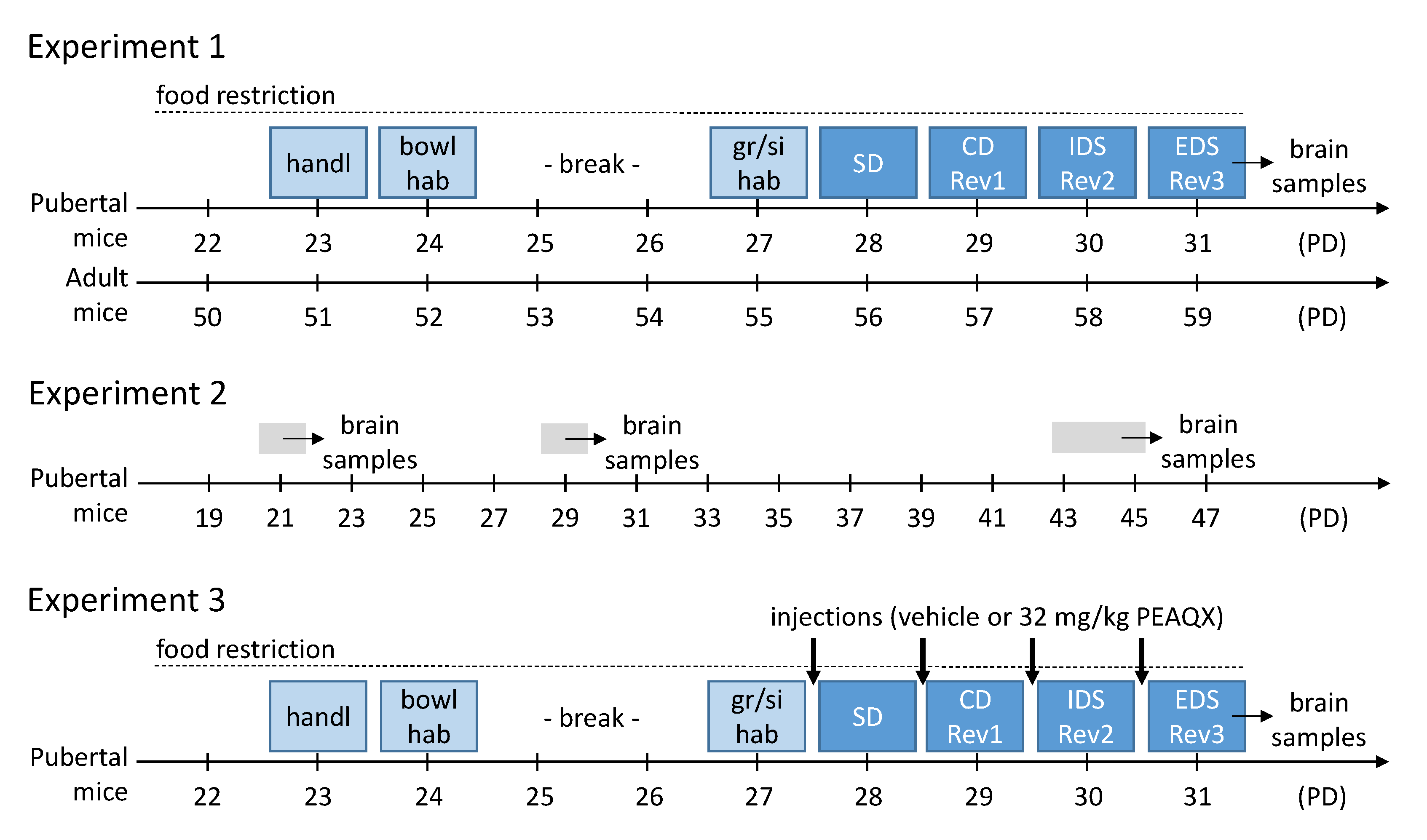 Cells 12 01212 g001 Cells 12 01212 g001