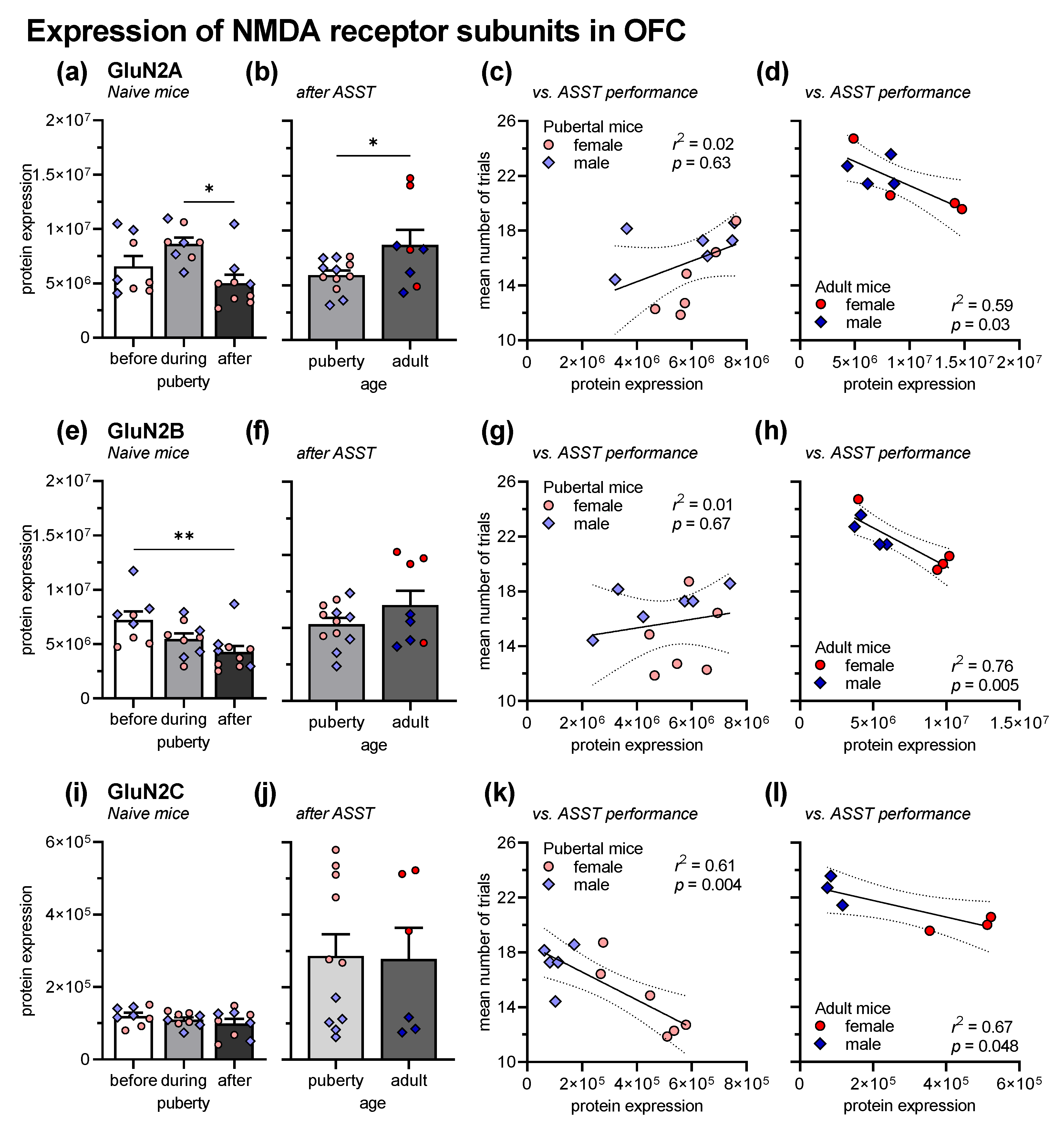 Cells 12 01212 g003 Cells 12 01212 g003