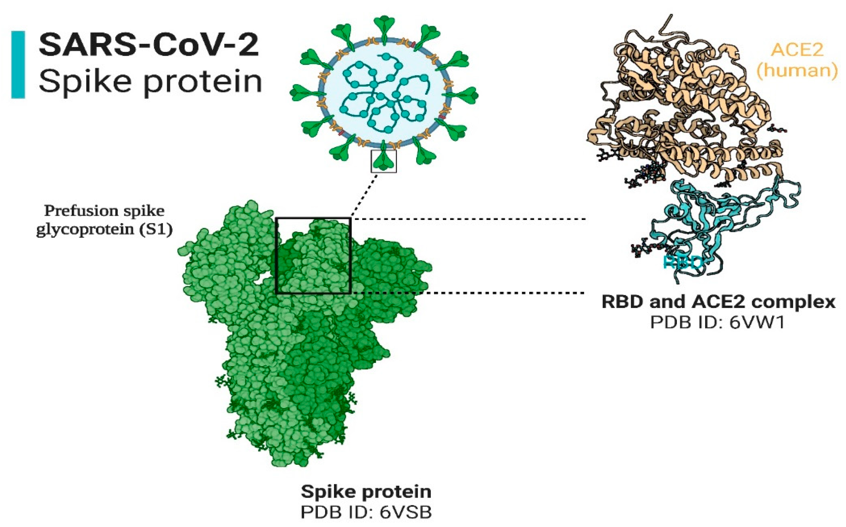 Cells 12 01213 g003 Cells 12 01213 g003