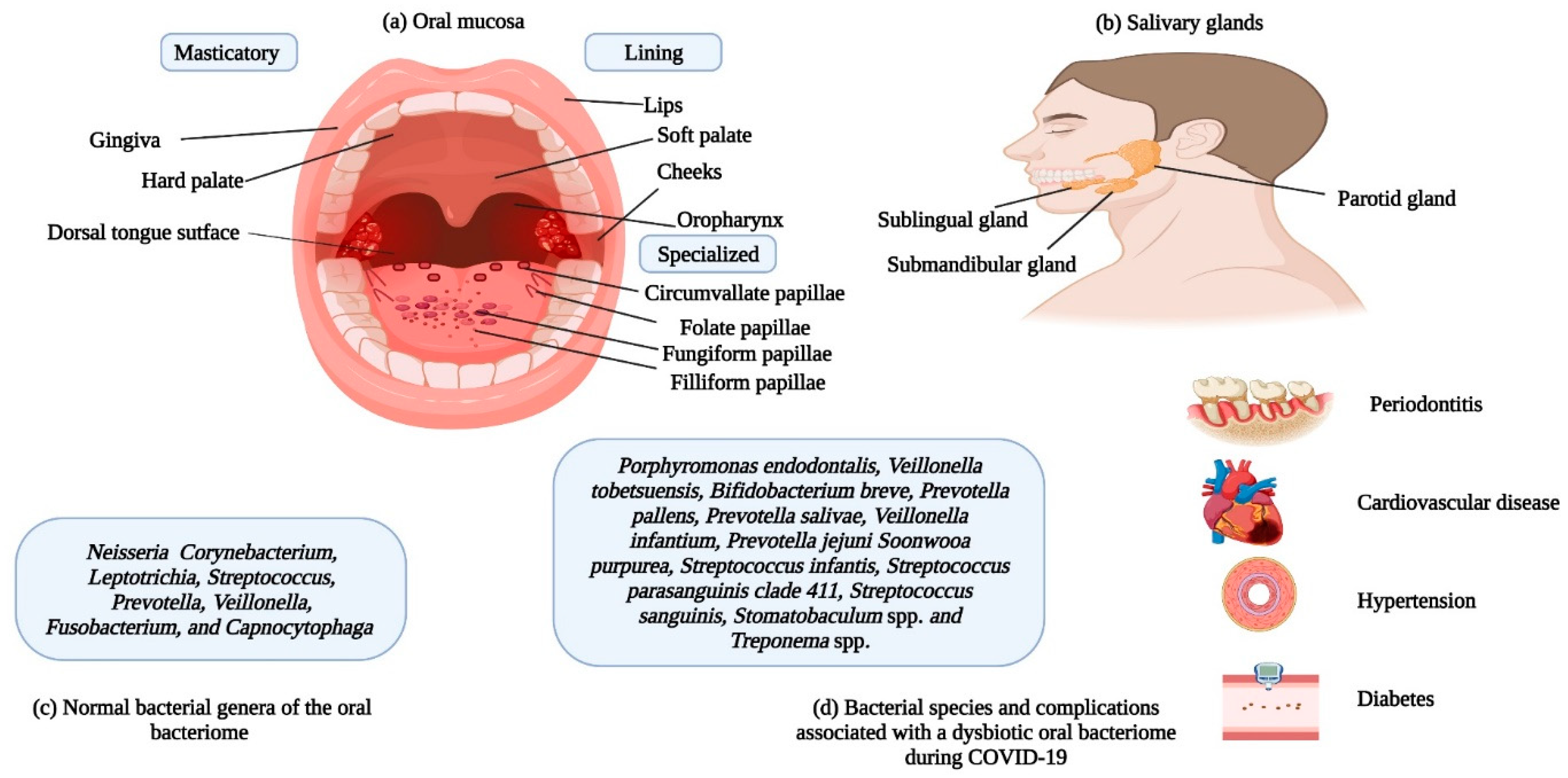 Cells 12 01213 g004 Cells 12 01213 g004