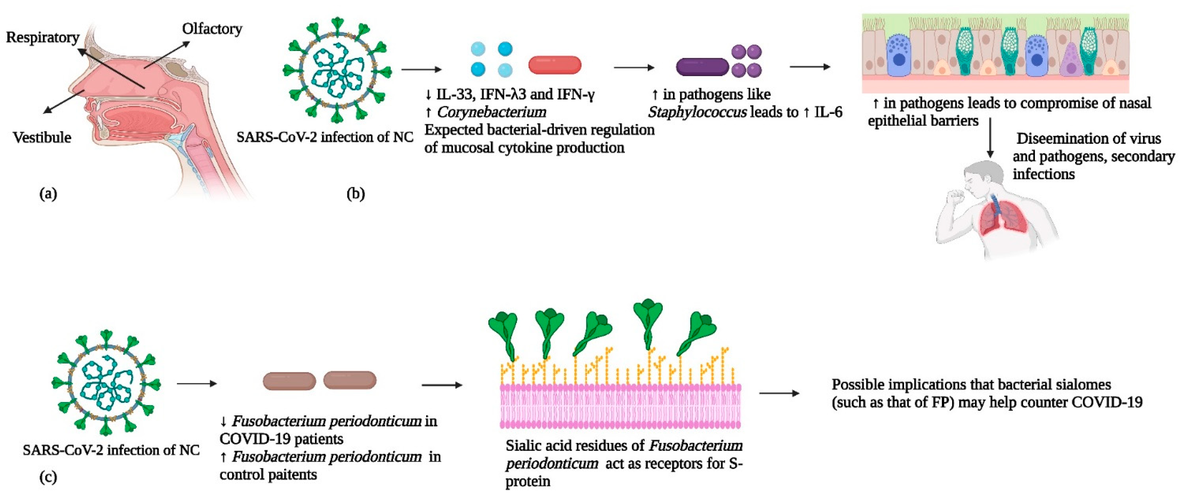 Cells 12 01213 g006 Cells 12 01213 g006