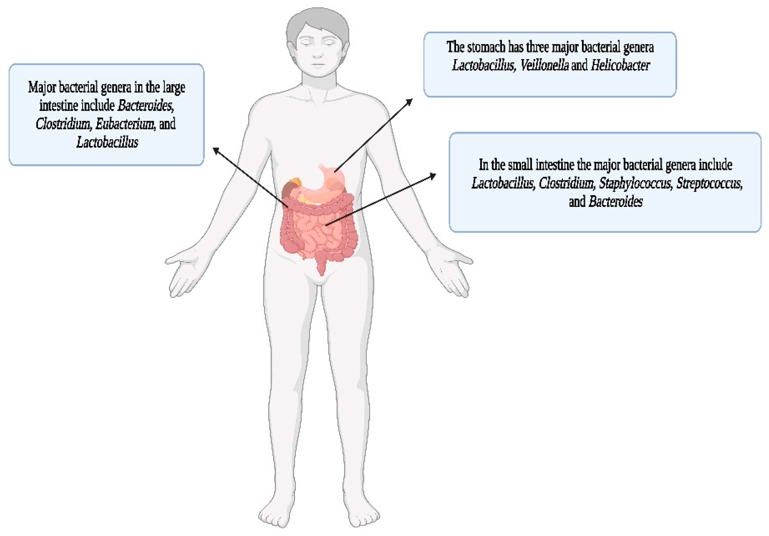 Cells 12 01213 g008 Cells 12 01213 g008