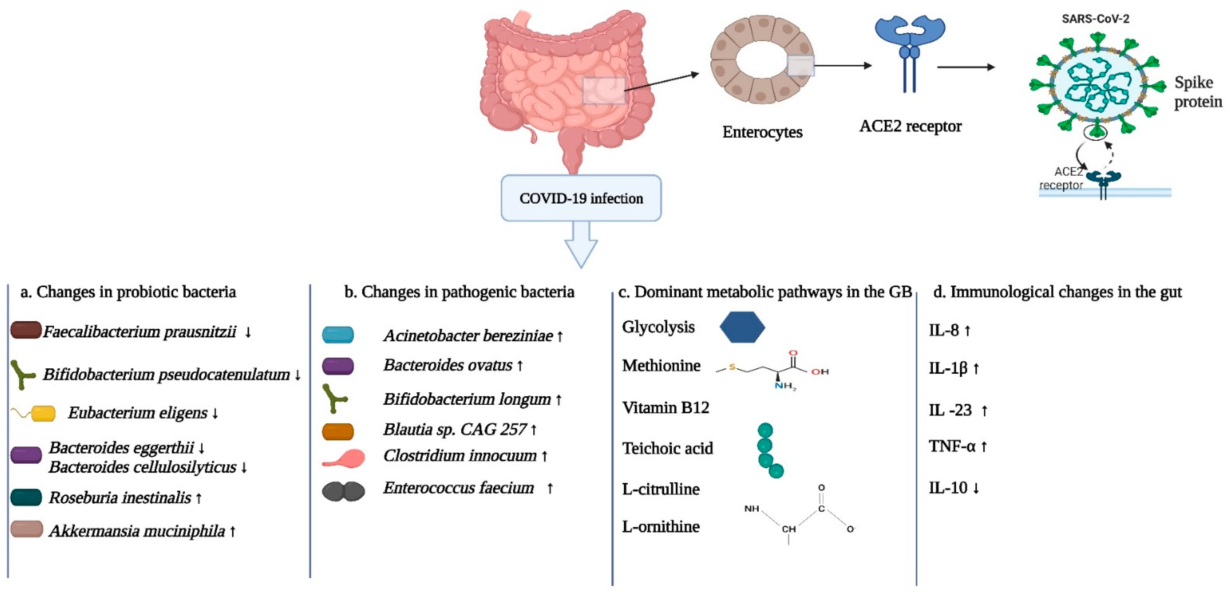 Cells 12 01213 g009 Cells 12 01213 g009