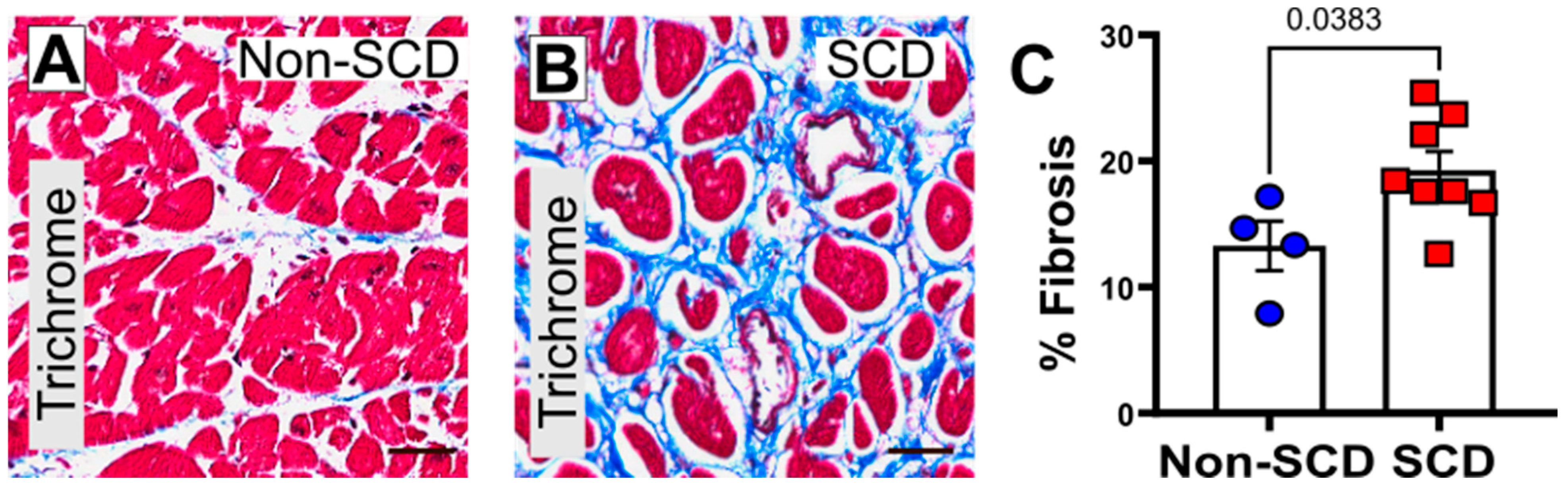Cells 12 01218 g001 Cells 12 01218 g001