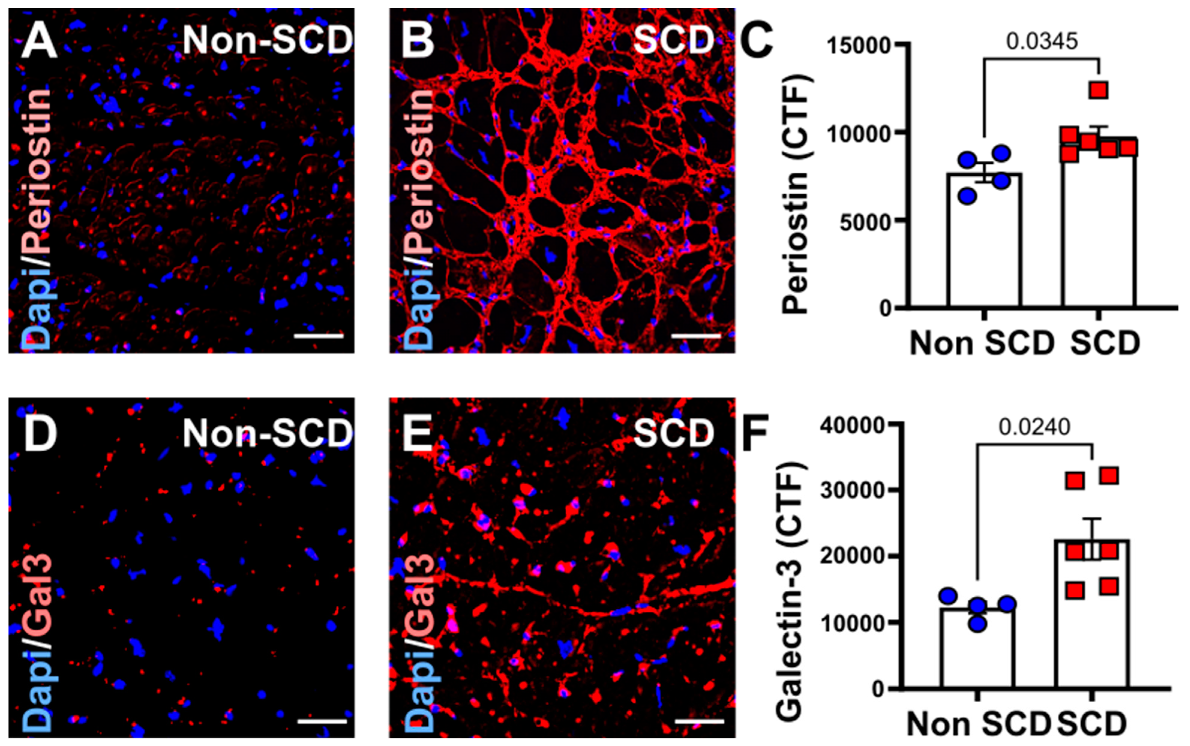Cells 12 01218 g002 Cells 12 01218 g002