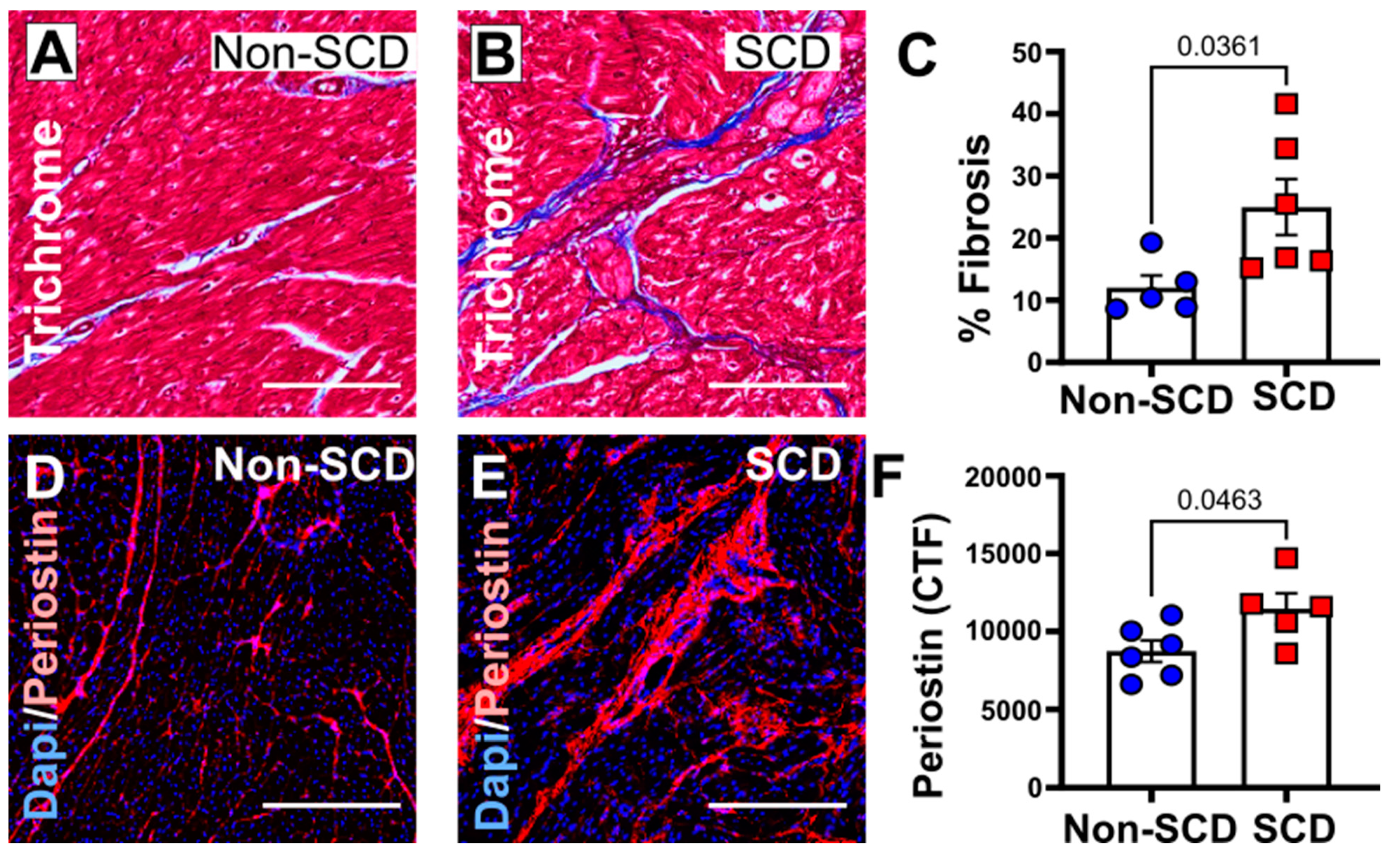 Cells 12 01218 g003 Cells 12 01218 g003