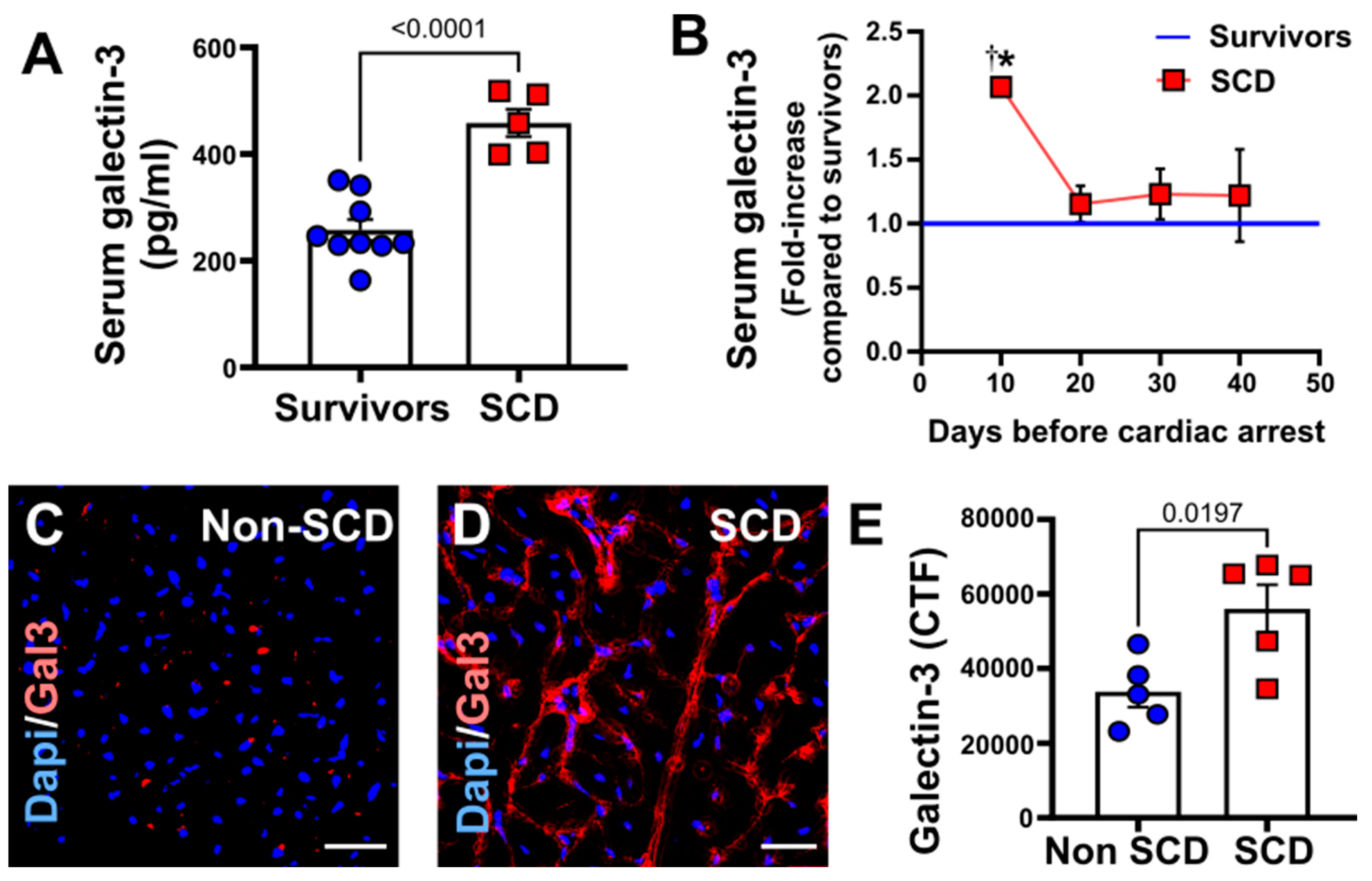 Cells 12 01218 g004 Cells 12 01218 g004