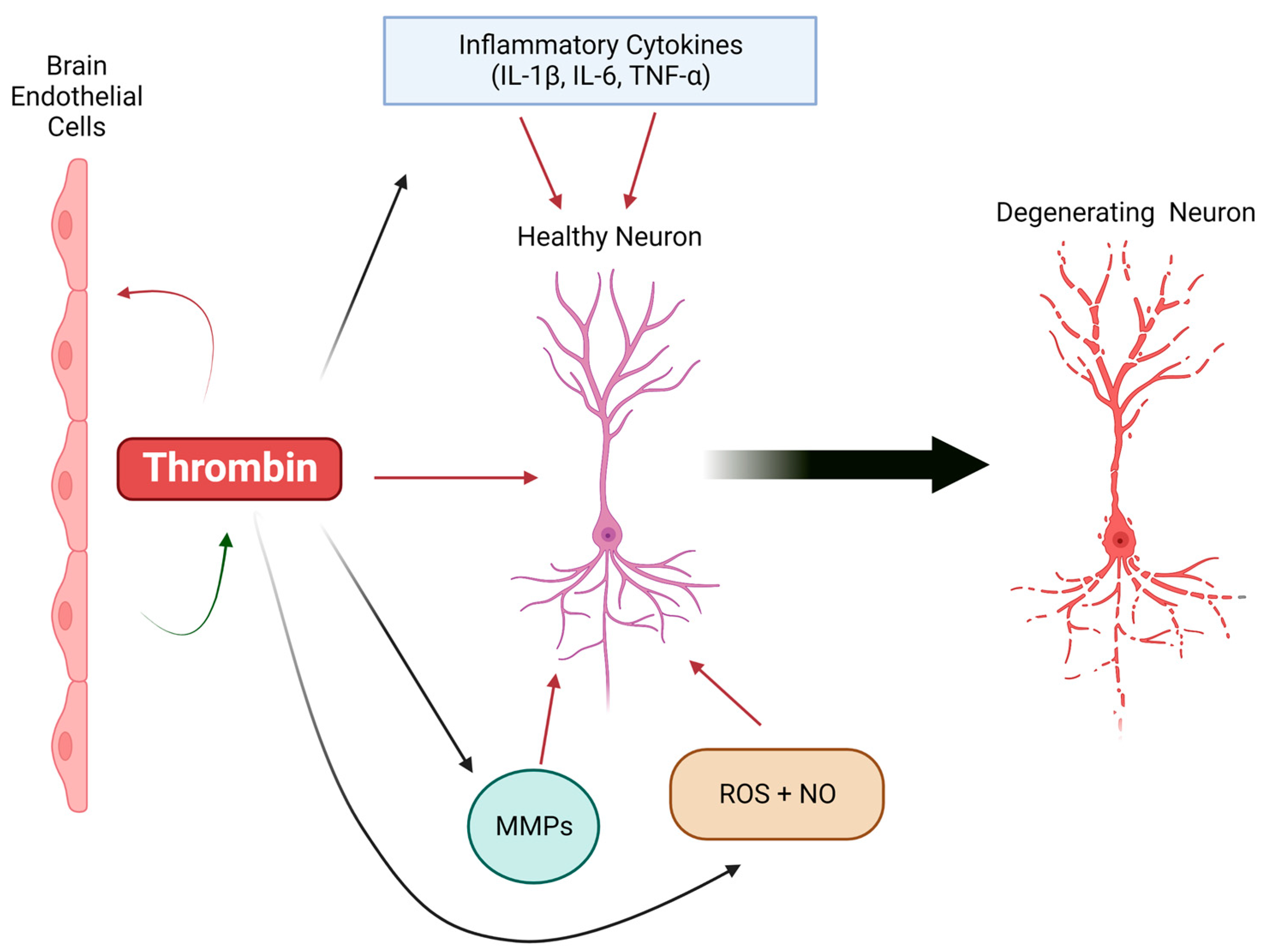 Cells 12 01222 g001 Cells 12 01222 g001