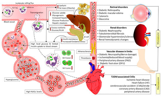Cells | Free Full-Text | The Complex Interplay between Imbalanced ...