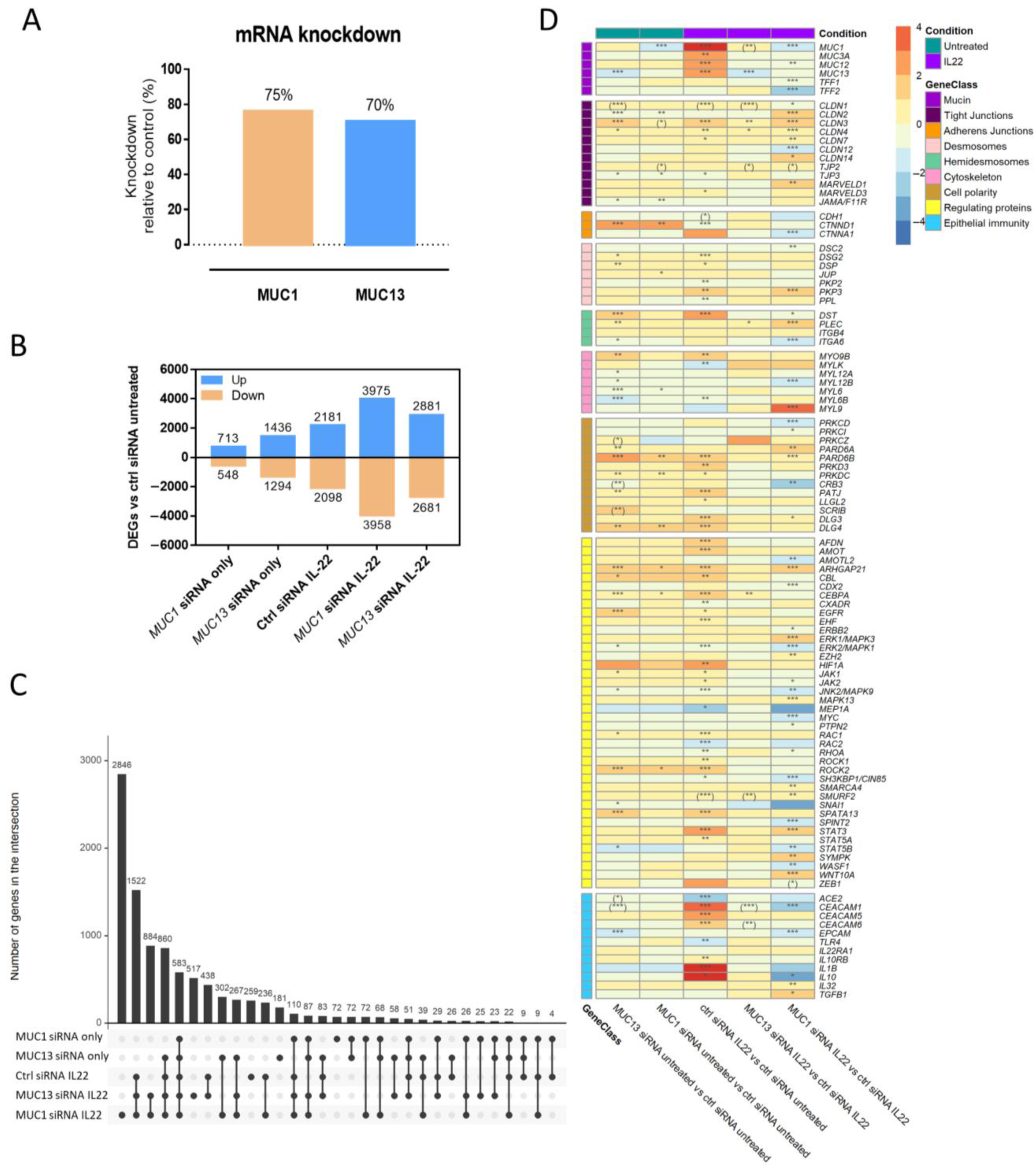 Cells 12 01224 g001 Cells 12 01224 g001