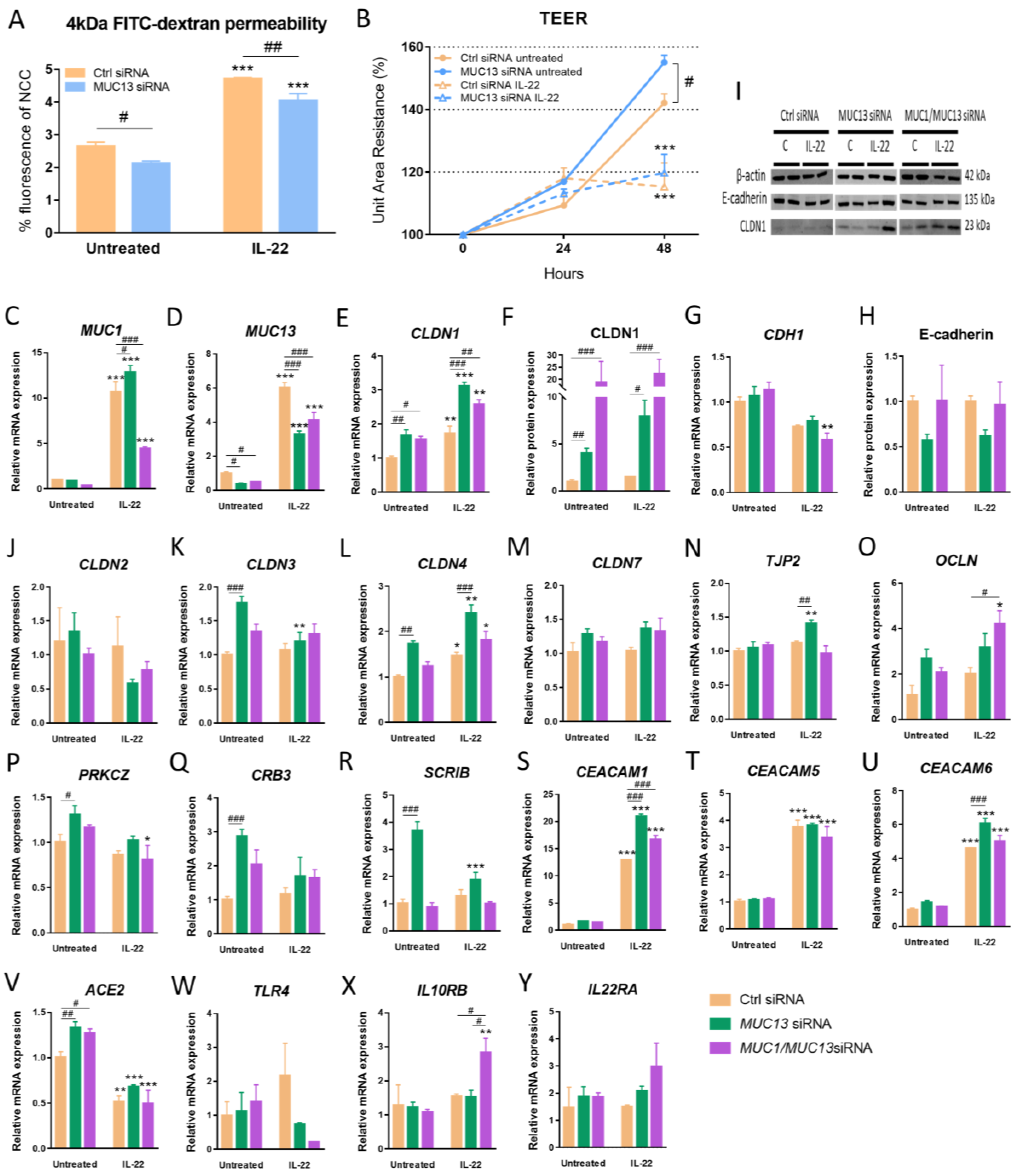 Cells 12 01224 g003 Cells 12 01224 g003