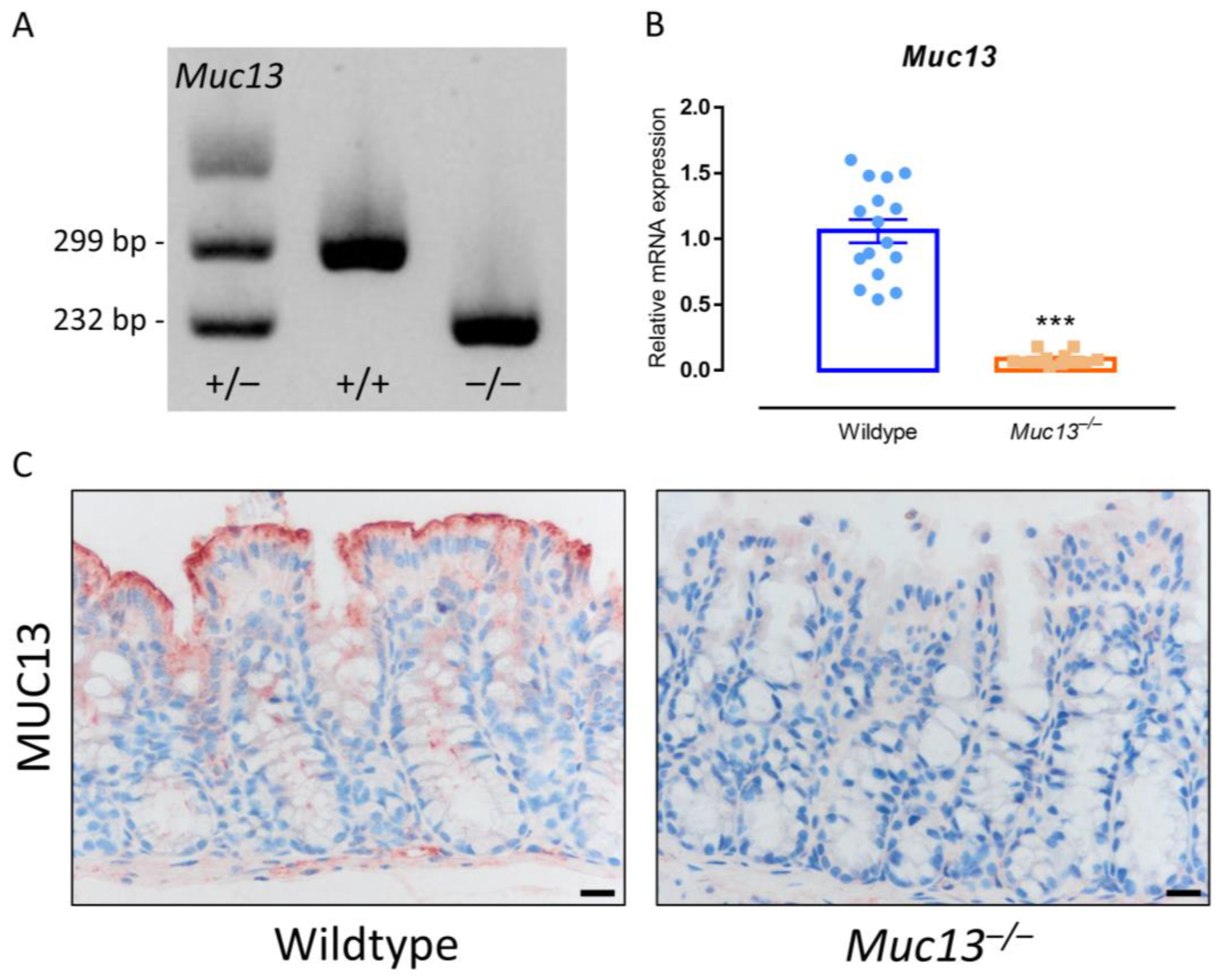 Cells 12 01224 g005 Cells 12 01224 g005