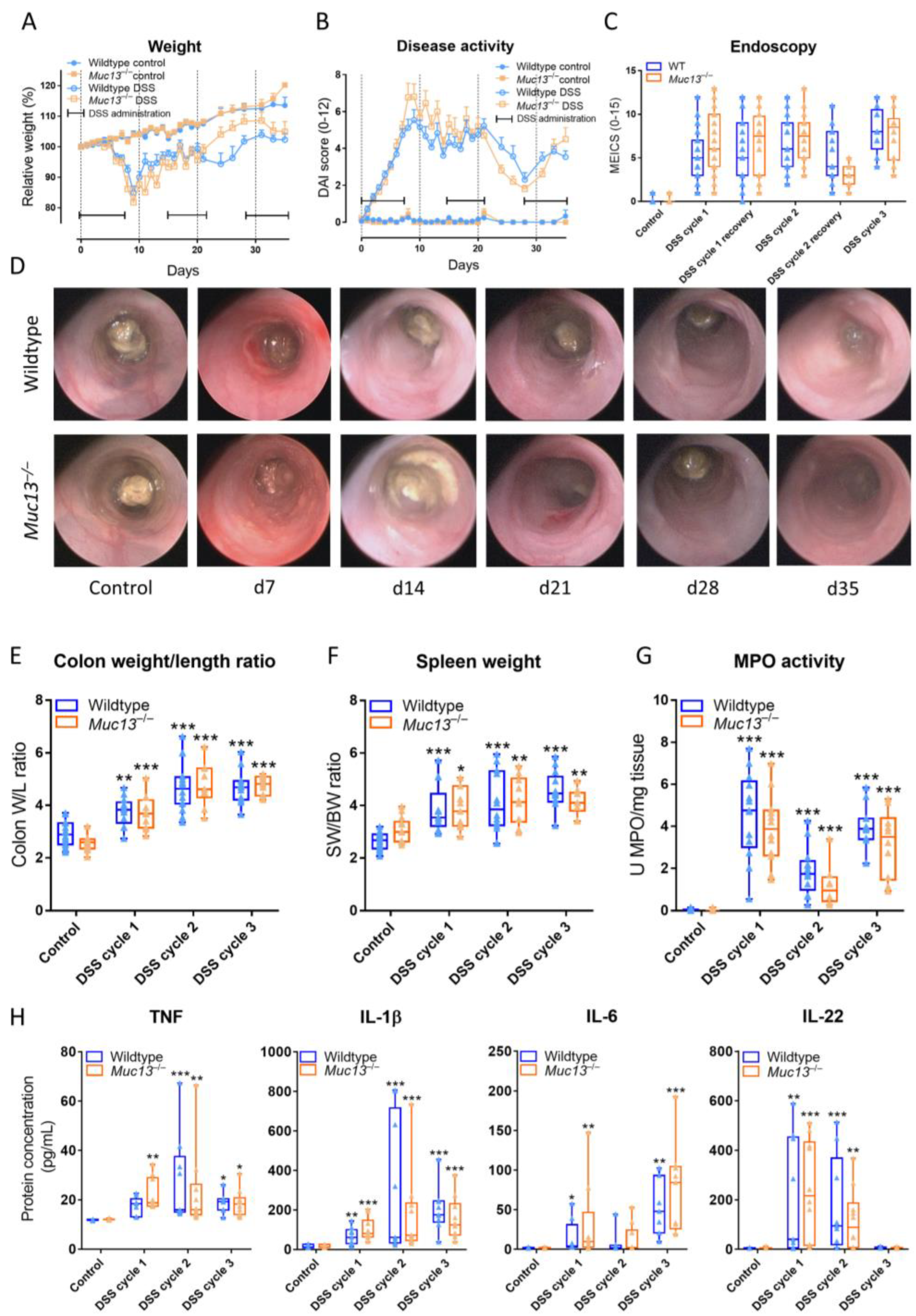 Cells 12 01224 g006 Cells 12 01224 g006
