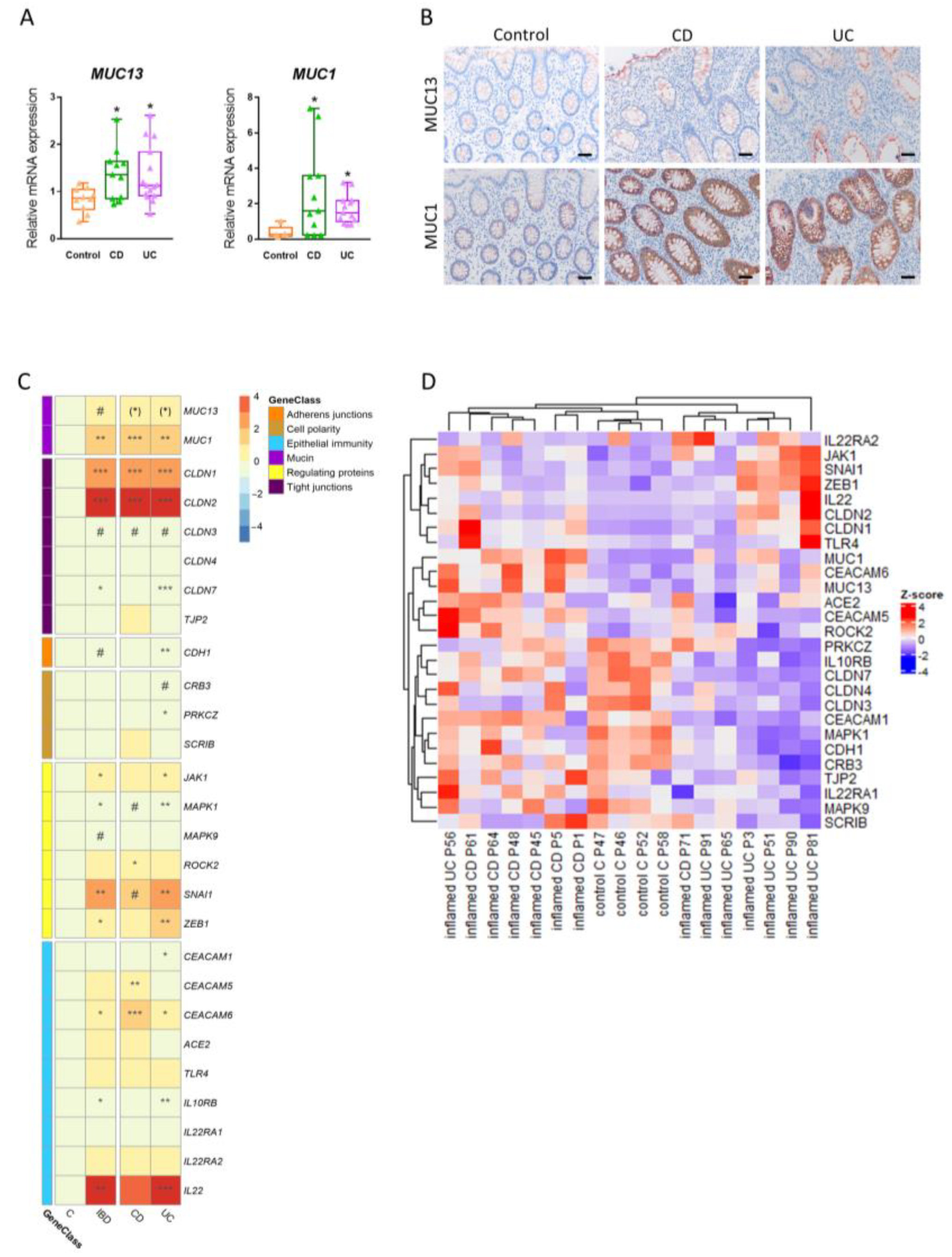 Cells 12 01224 g008 Cells 12 01224 g008